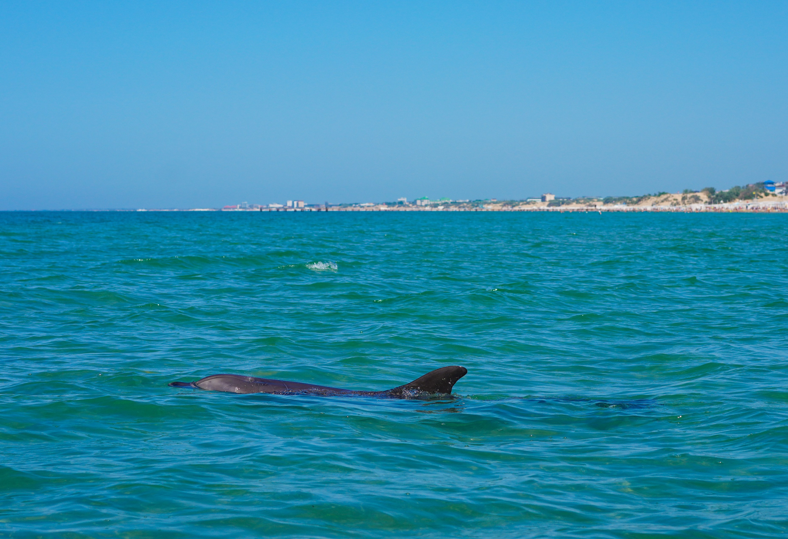 Фотограф в Анапе Джемете Витязево