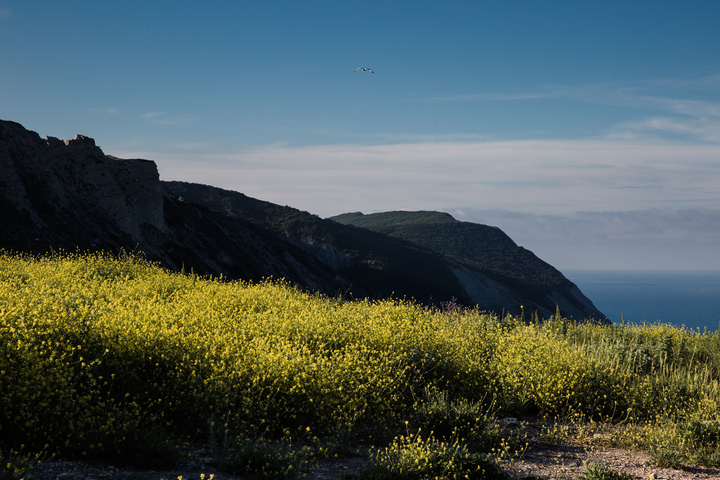 Всё лето в один день // Ксения. Фотограф Алутера Ирина