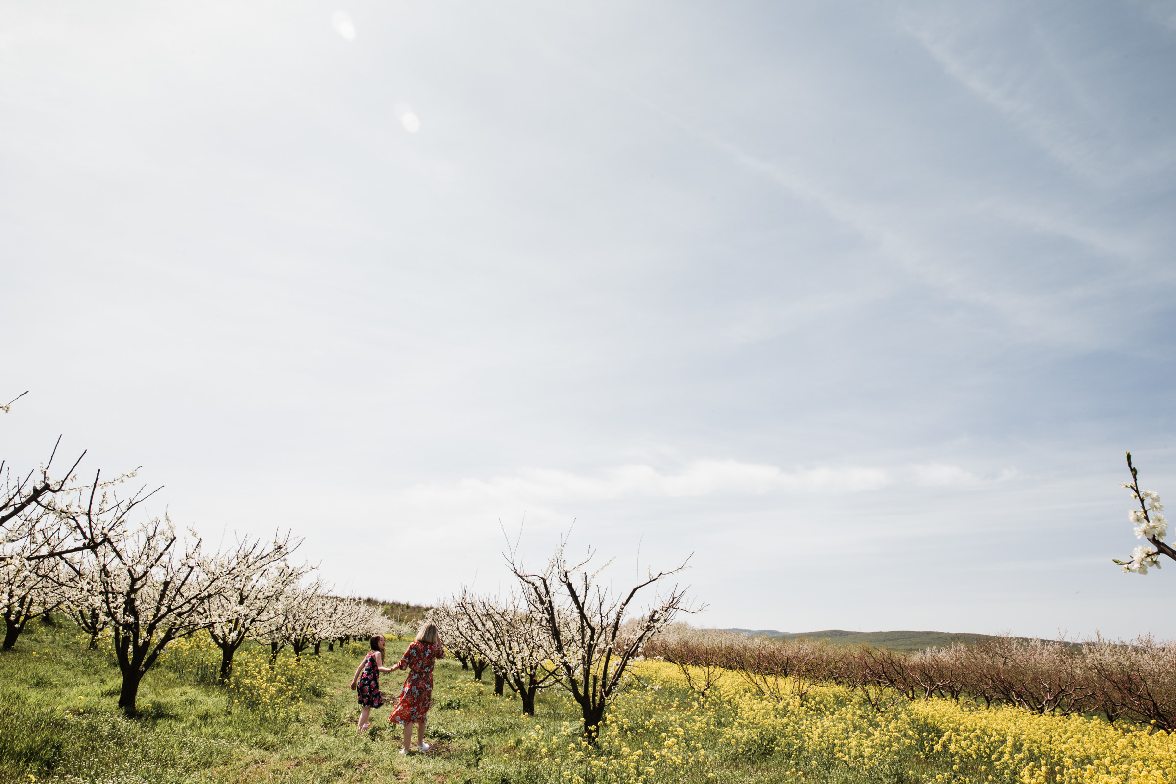 Зелёные тени, Белый кит // Кристина_Соня. Фотограф Алутера Ирина