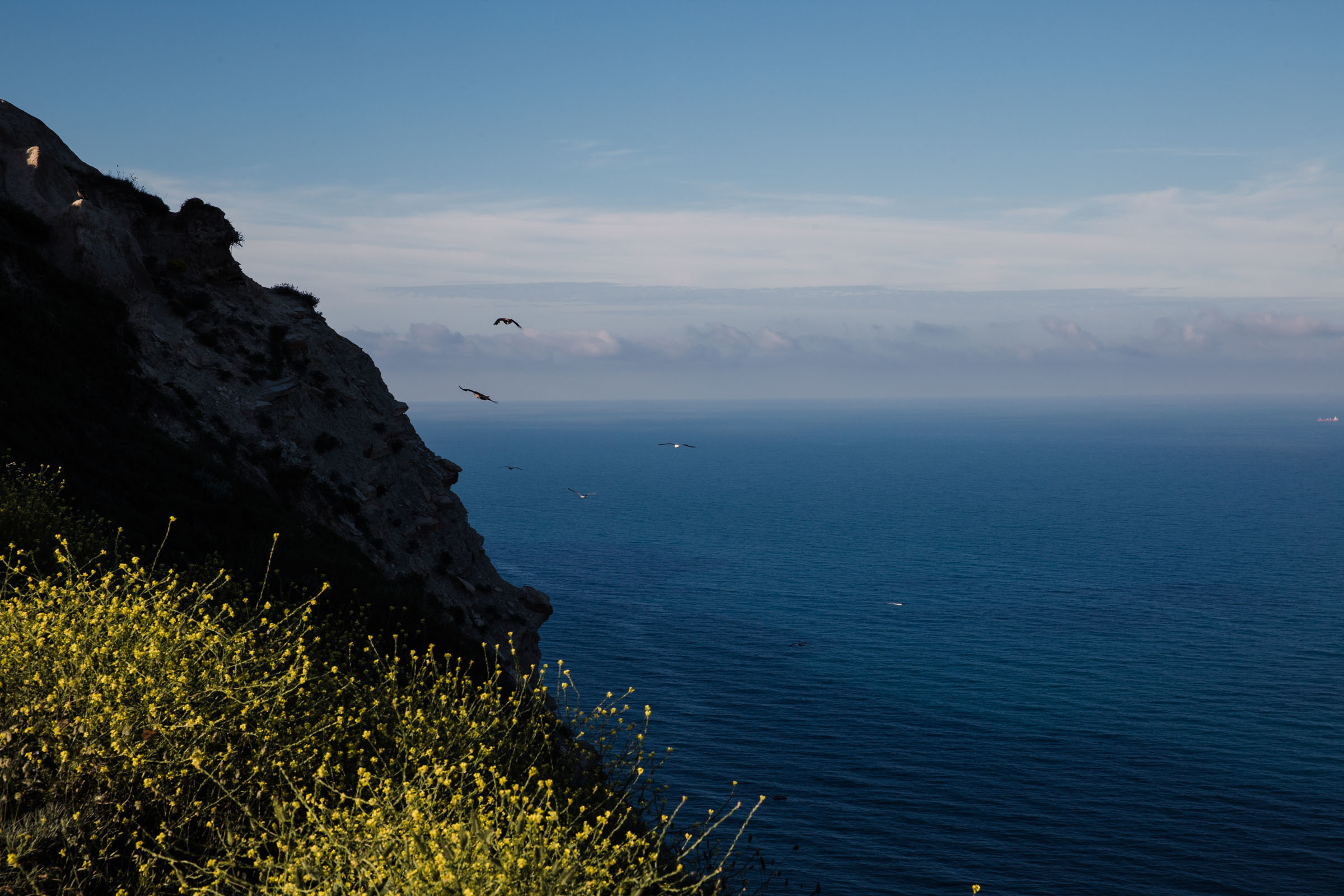 Всё лето в один день // Ксения. Фотограф Алутера Ирина