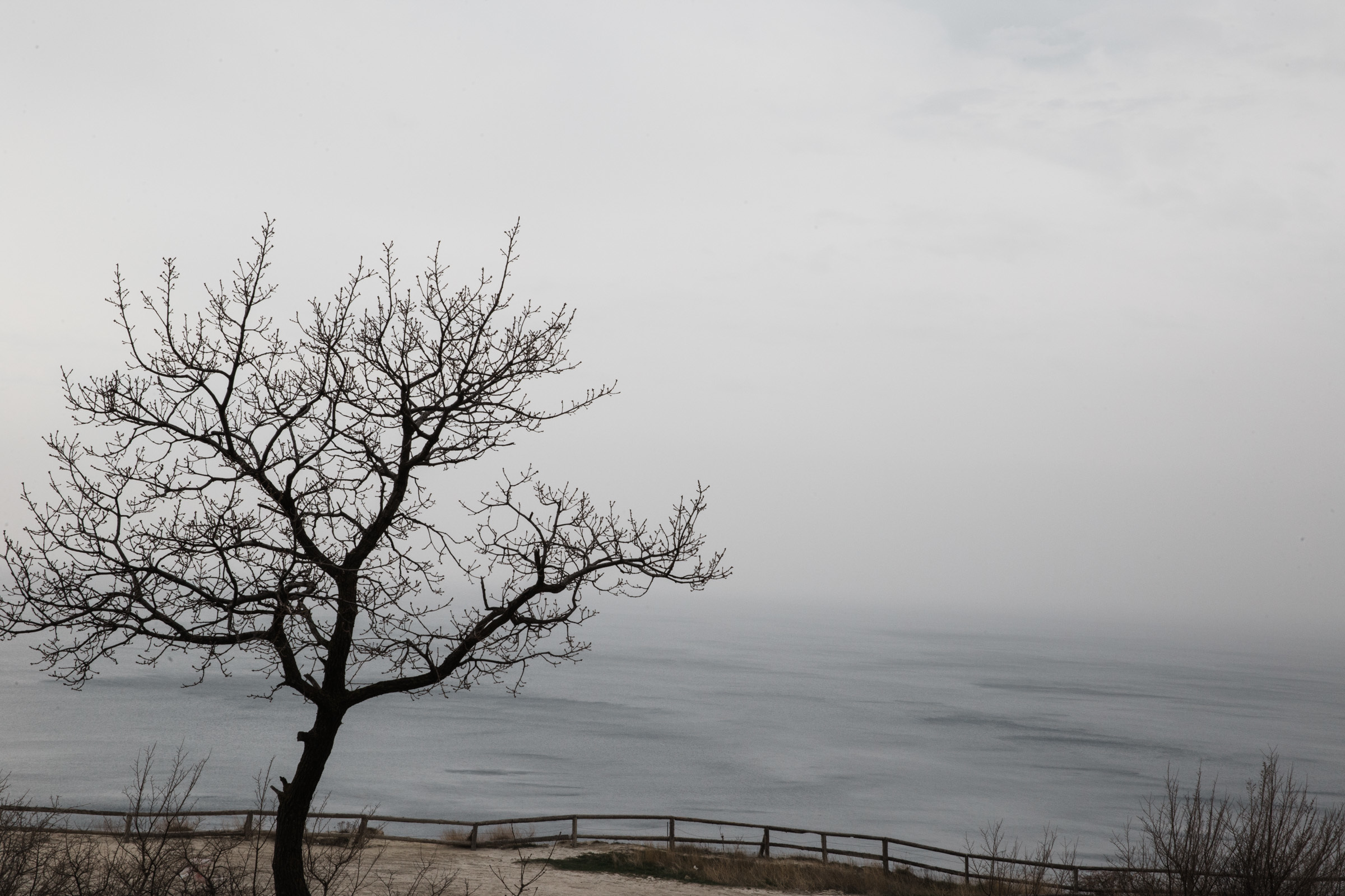 Оно ждёт их, золотистое солнце // Ильнур_Наташа-Кирилл. Фотограф Алутера Ирина