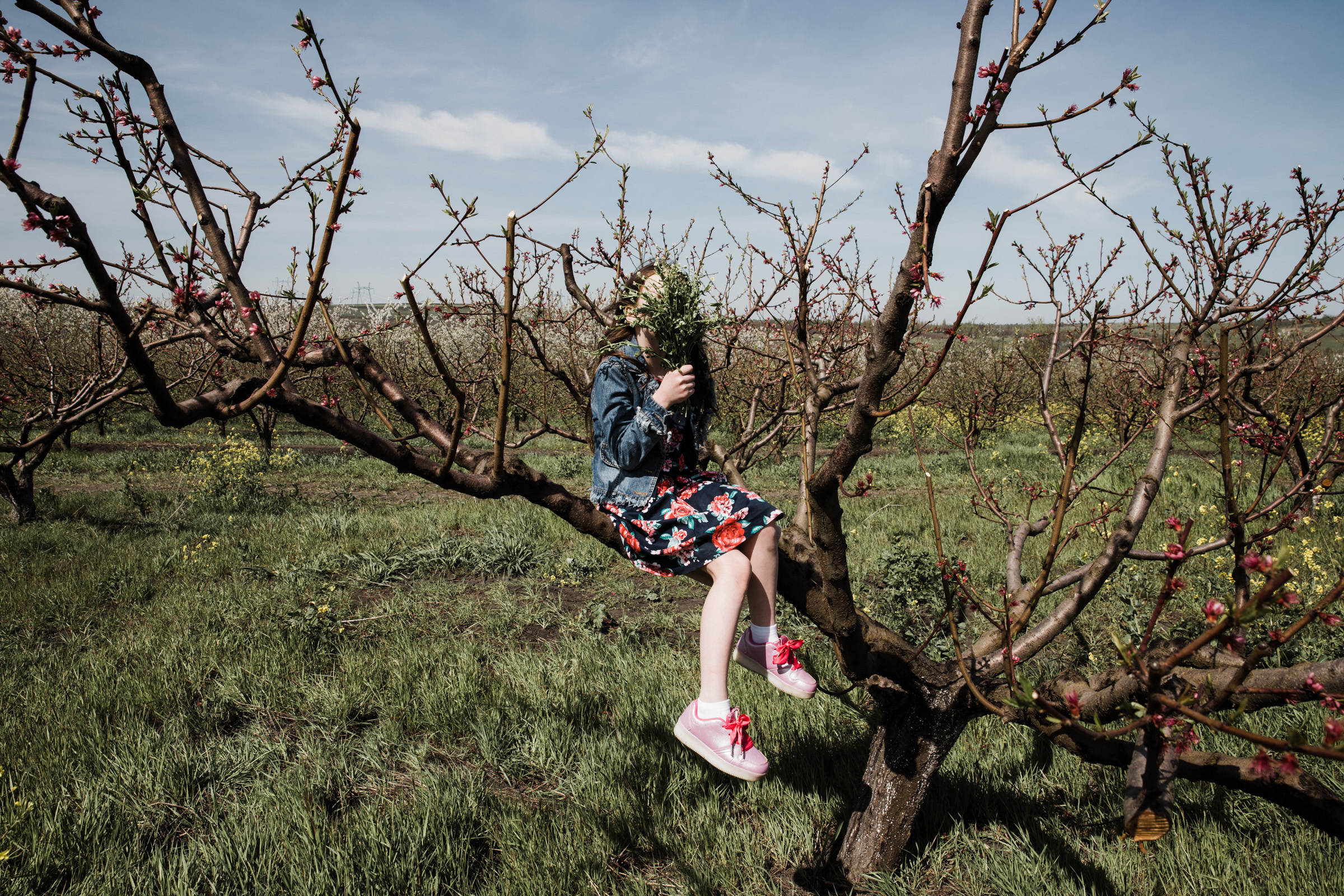 Зелёные тени, Белый кит // Кристина_Соня. Фотограф Алутера Ирина
