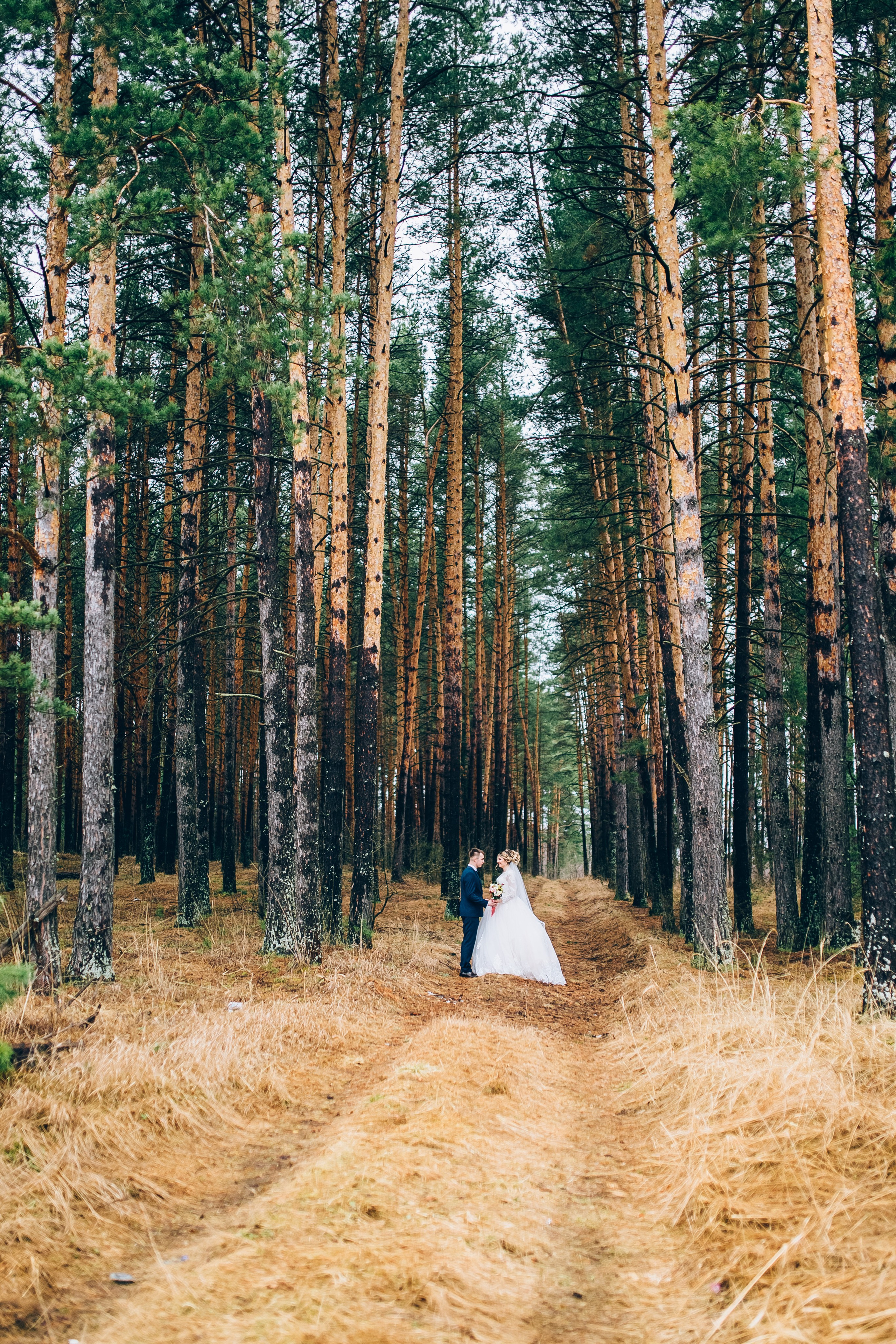 Алексей и Евгения. Свадебный и семейный фотограф Екатерина Бубнова