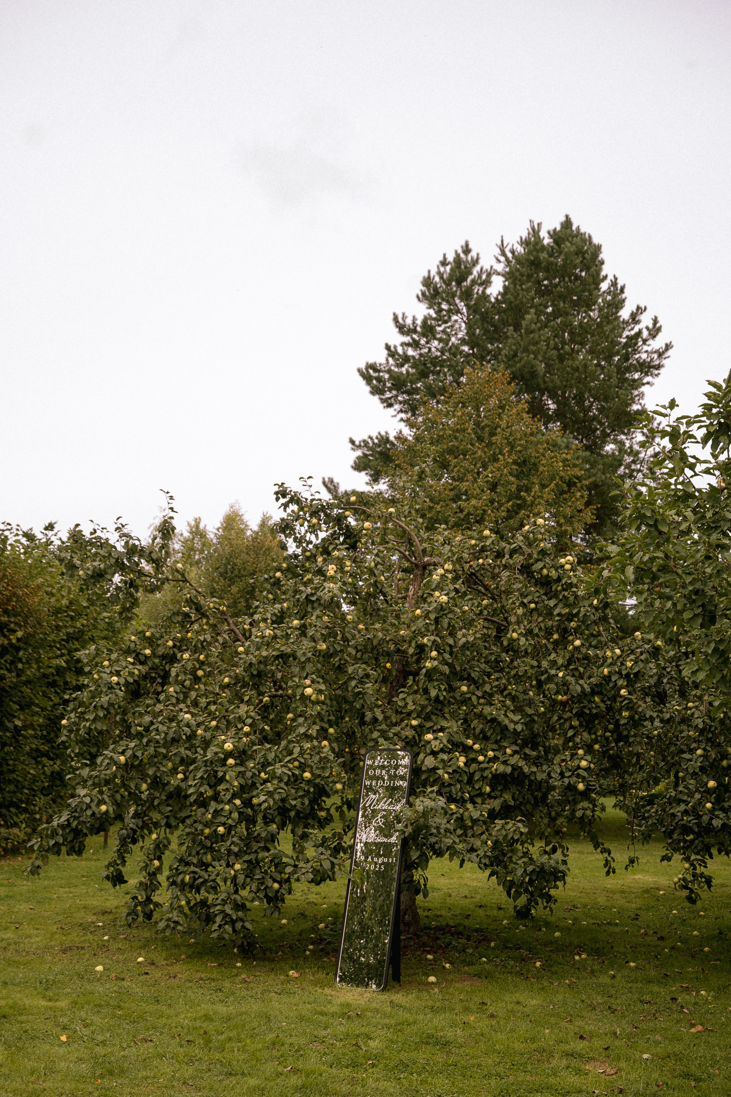Михаил и Александра. Свадебный фотограф Анастасия Тащилина