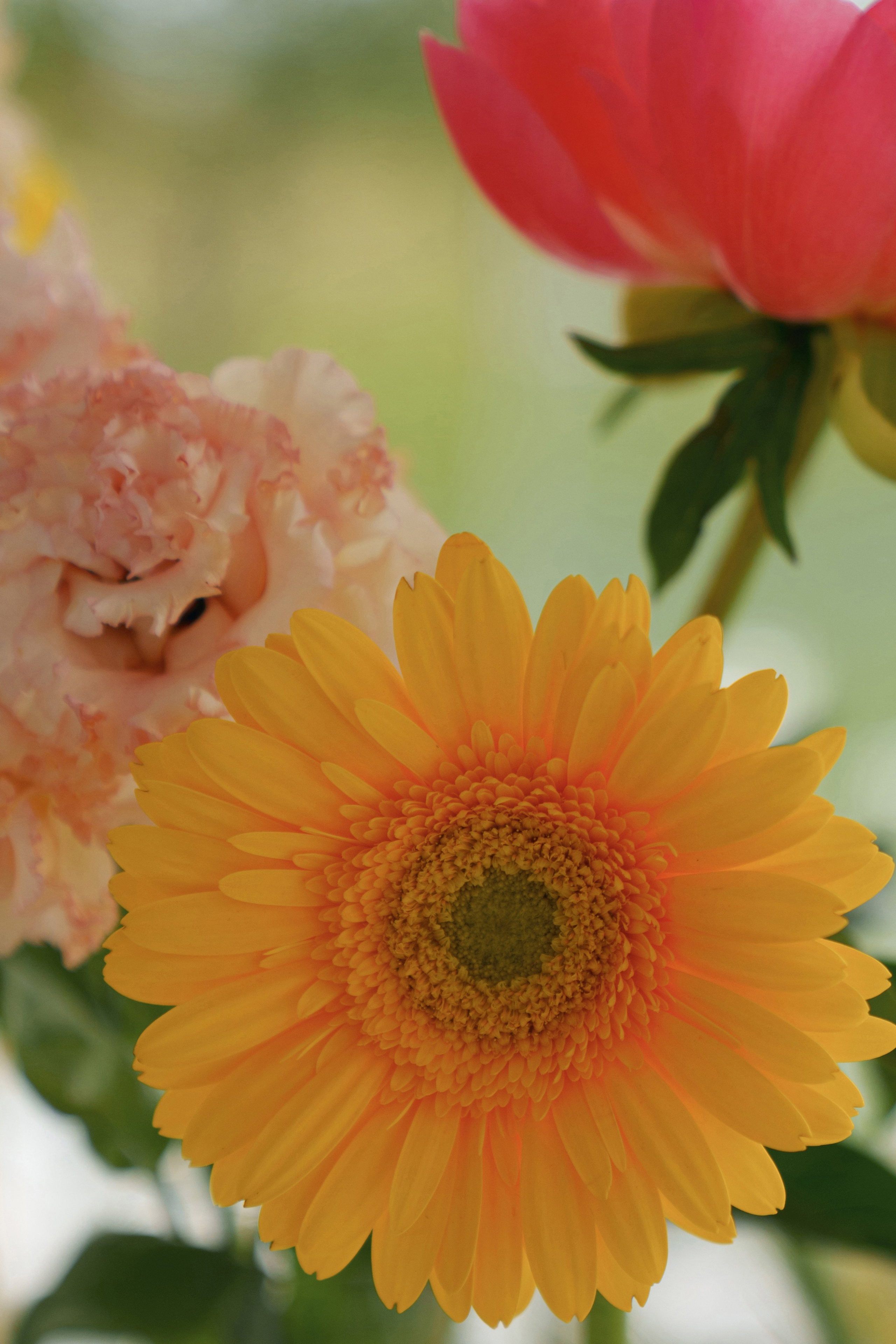 Свадебный вестник. Свадебный фотограф в Ростовe-на-Дону Анастасия Прутова