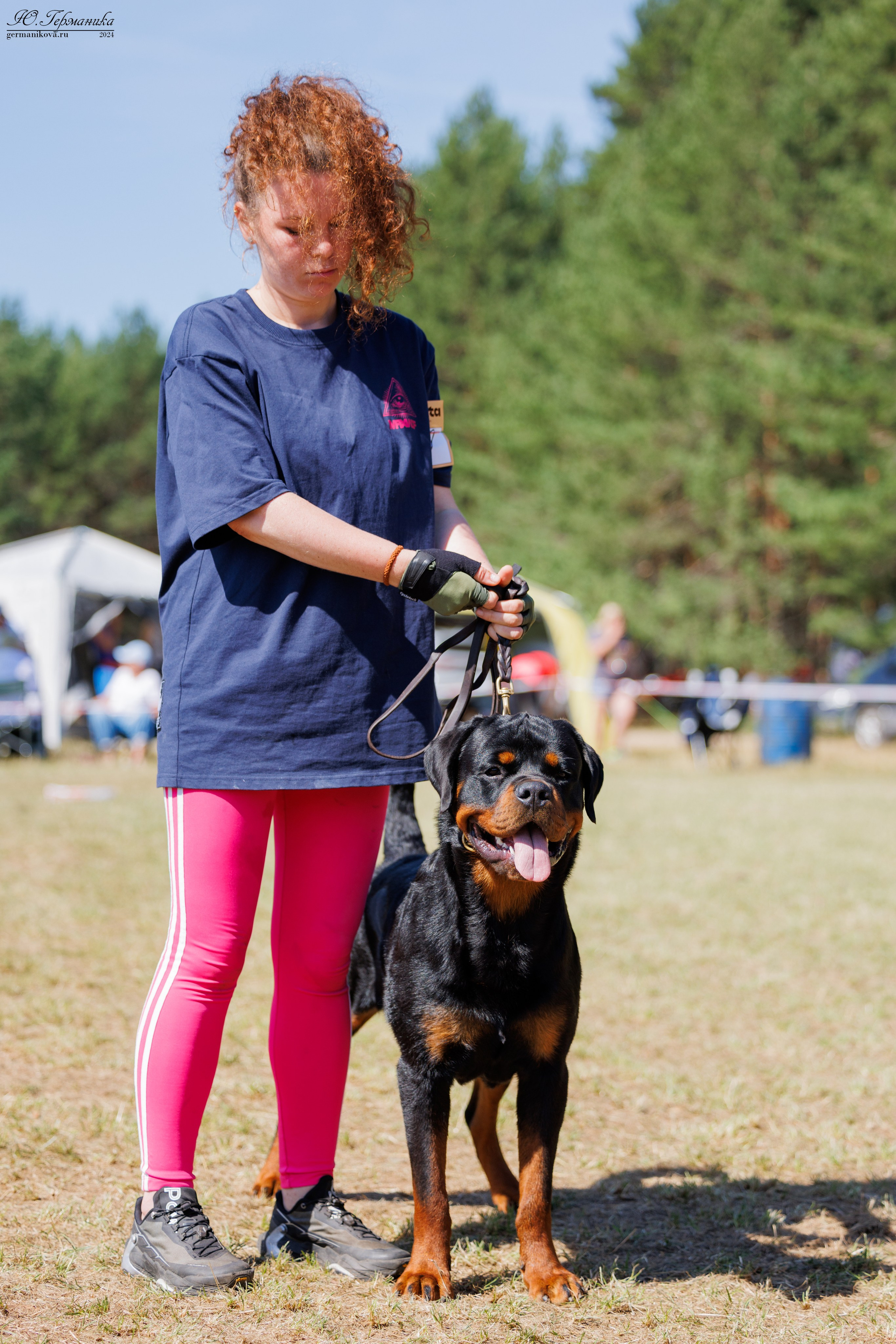 ПК и КЧК ротвейлеры Тверь 6-7.07.2024. Фотограф-анималист Юлия Германика