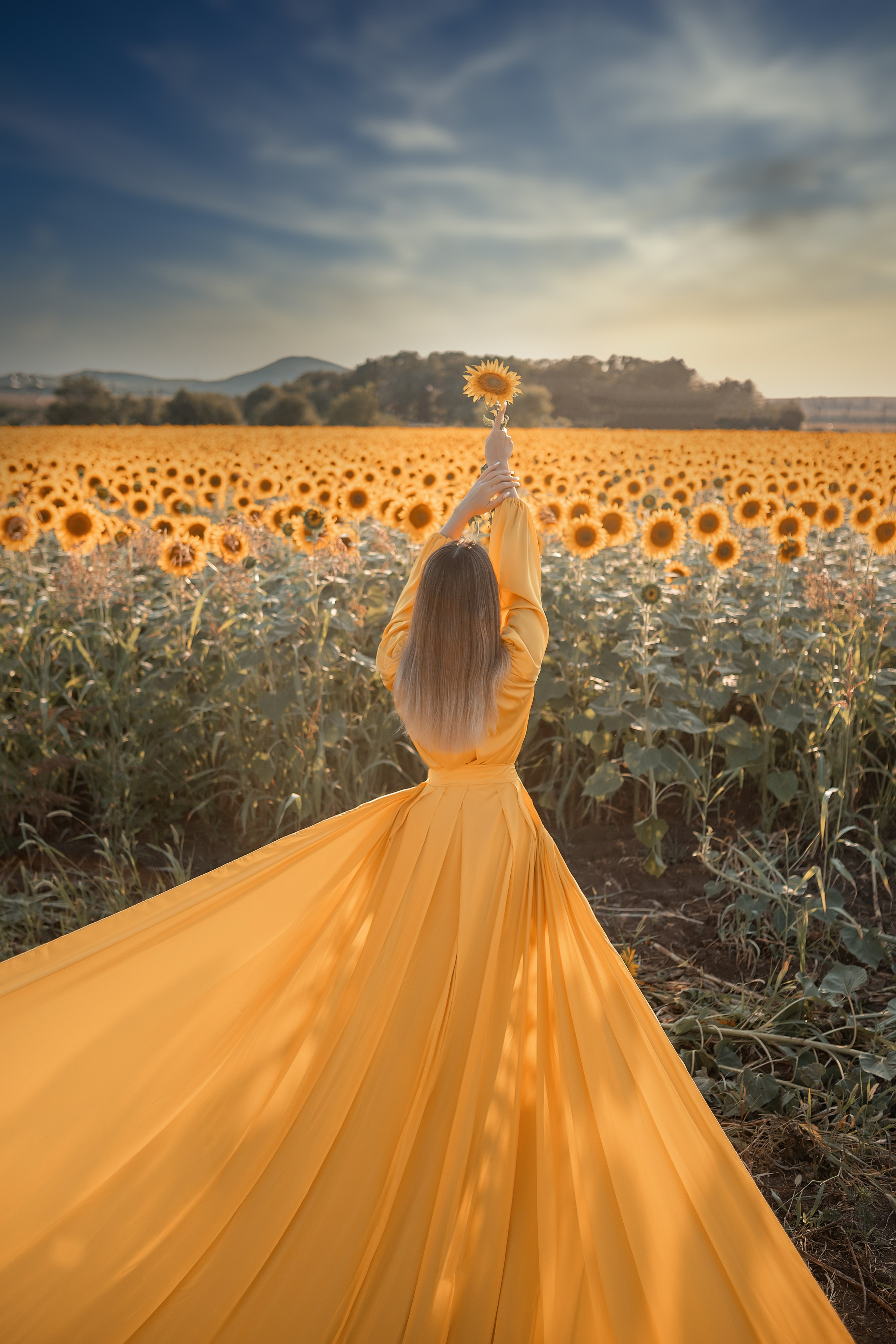Солнечные подсолнухи. Художественный фотограф Анапа Александра Долбикова