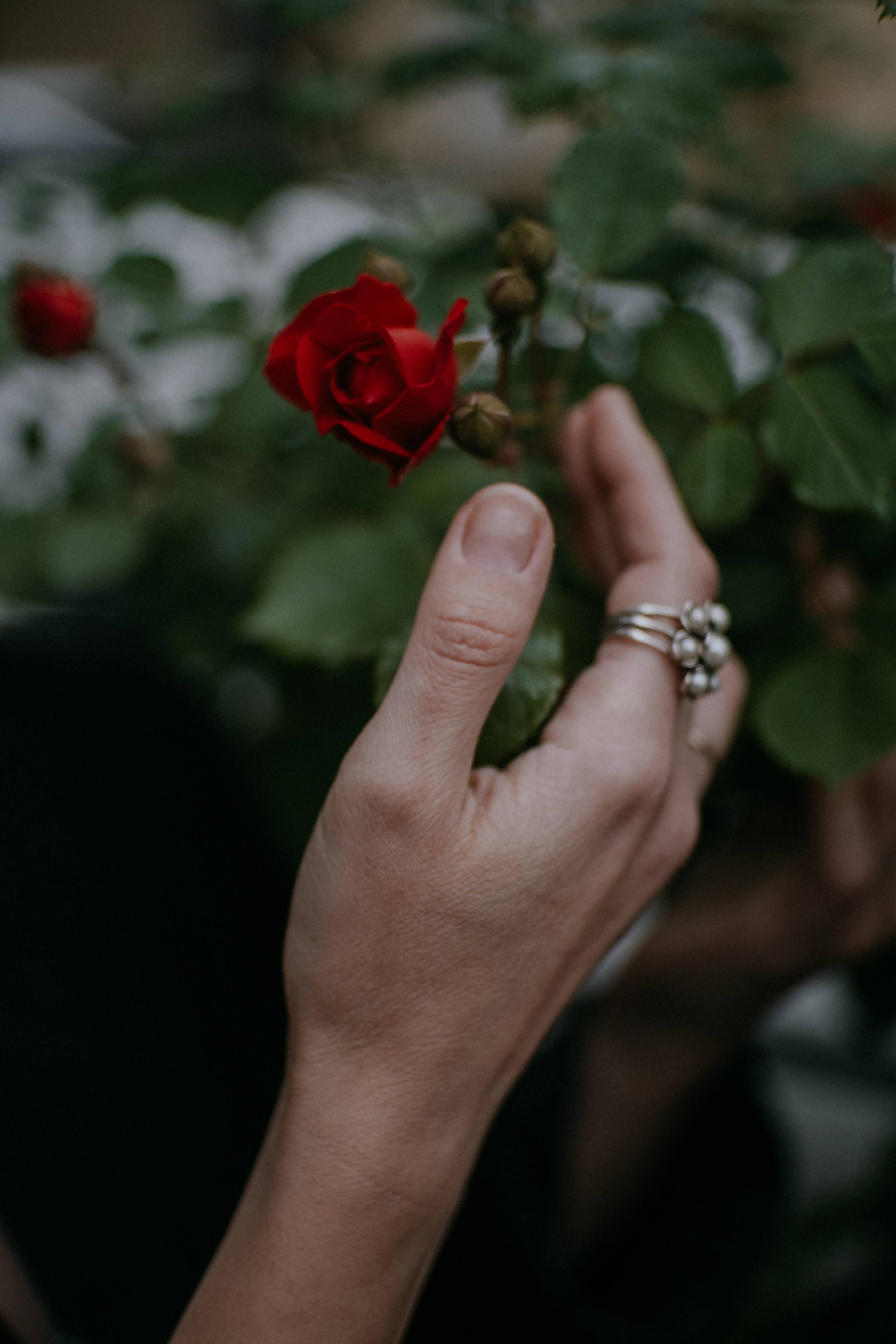 Лиза. Фотограф в Астрахани Миронова Анастасия