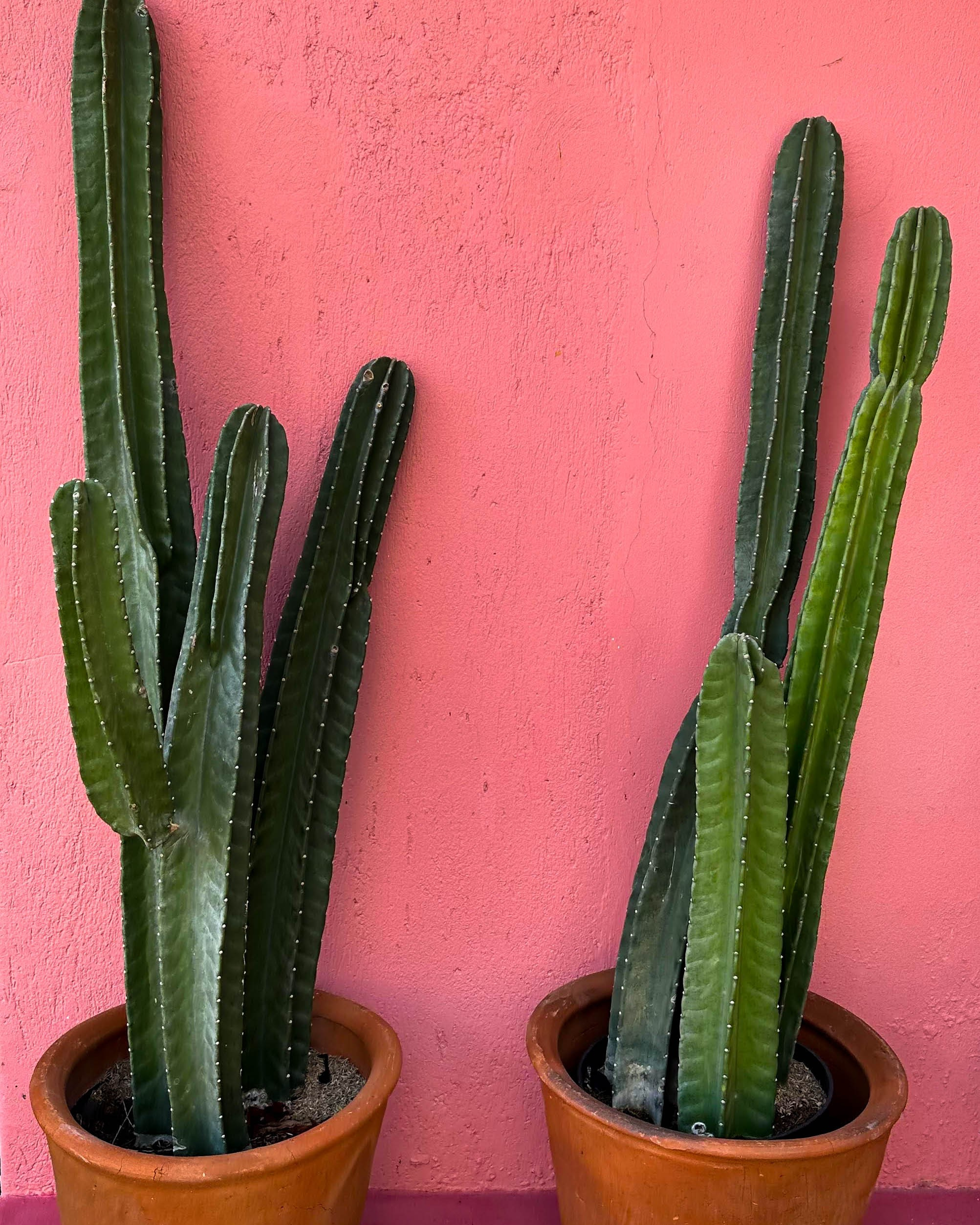 Pink Hotel, Bali, Indonesia. Alina and Vlad — hotel & brand content creators