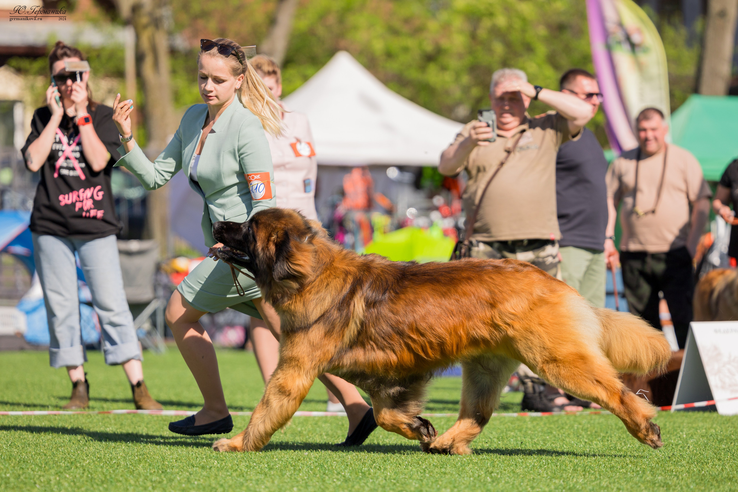 Суздаль 18-19.05.2024. Фотограф-анималист Юлия Германика