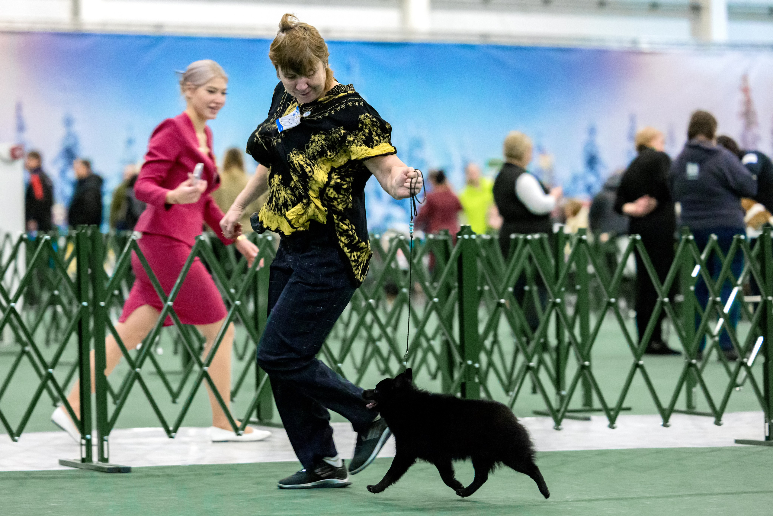 Крокус 3,9 и 10.12.2023. Фотограф-анималист Юлия Германика