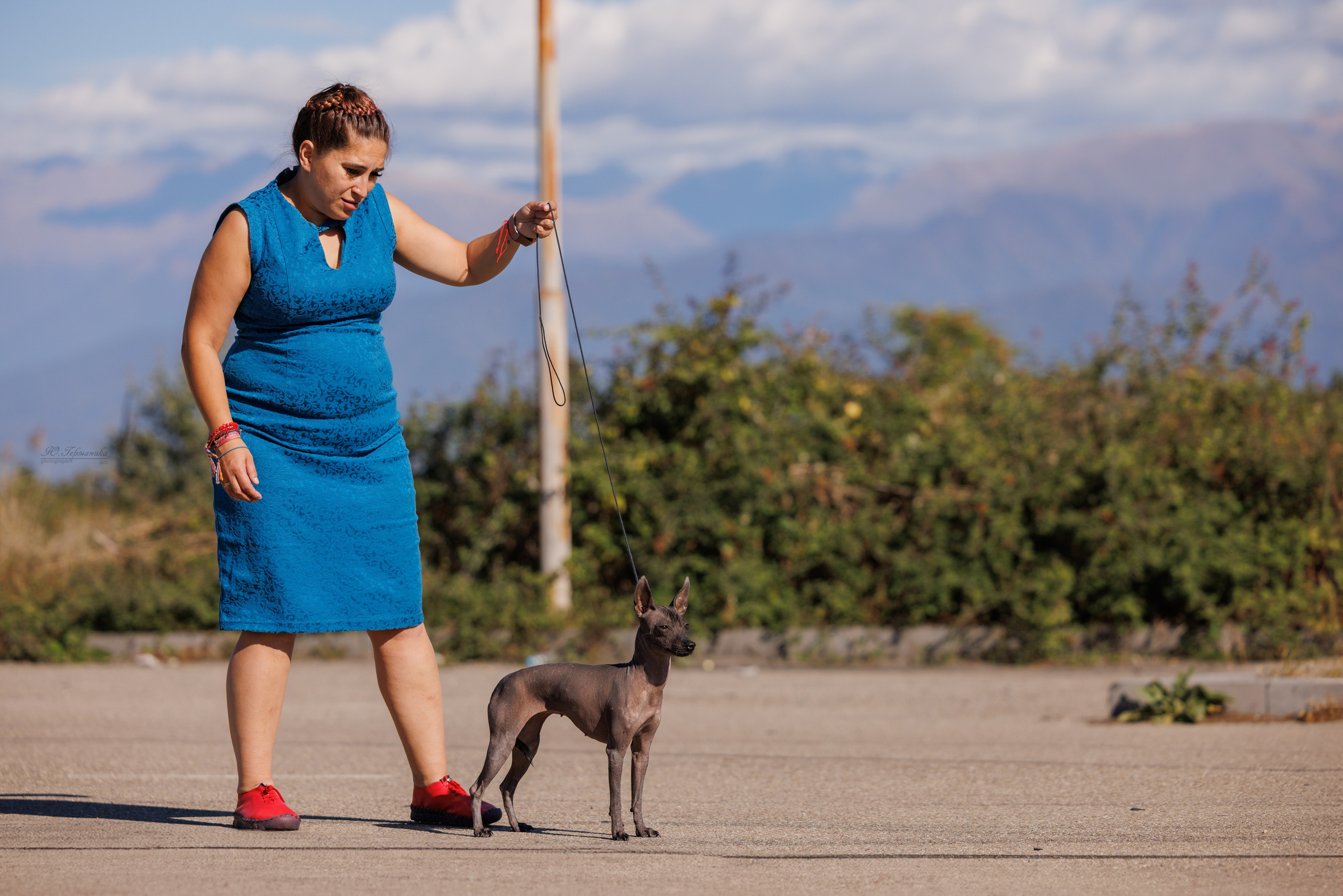 Телави 11-12.10.2025. Фотограф-анималист Юлия Германика