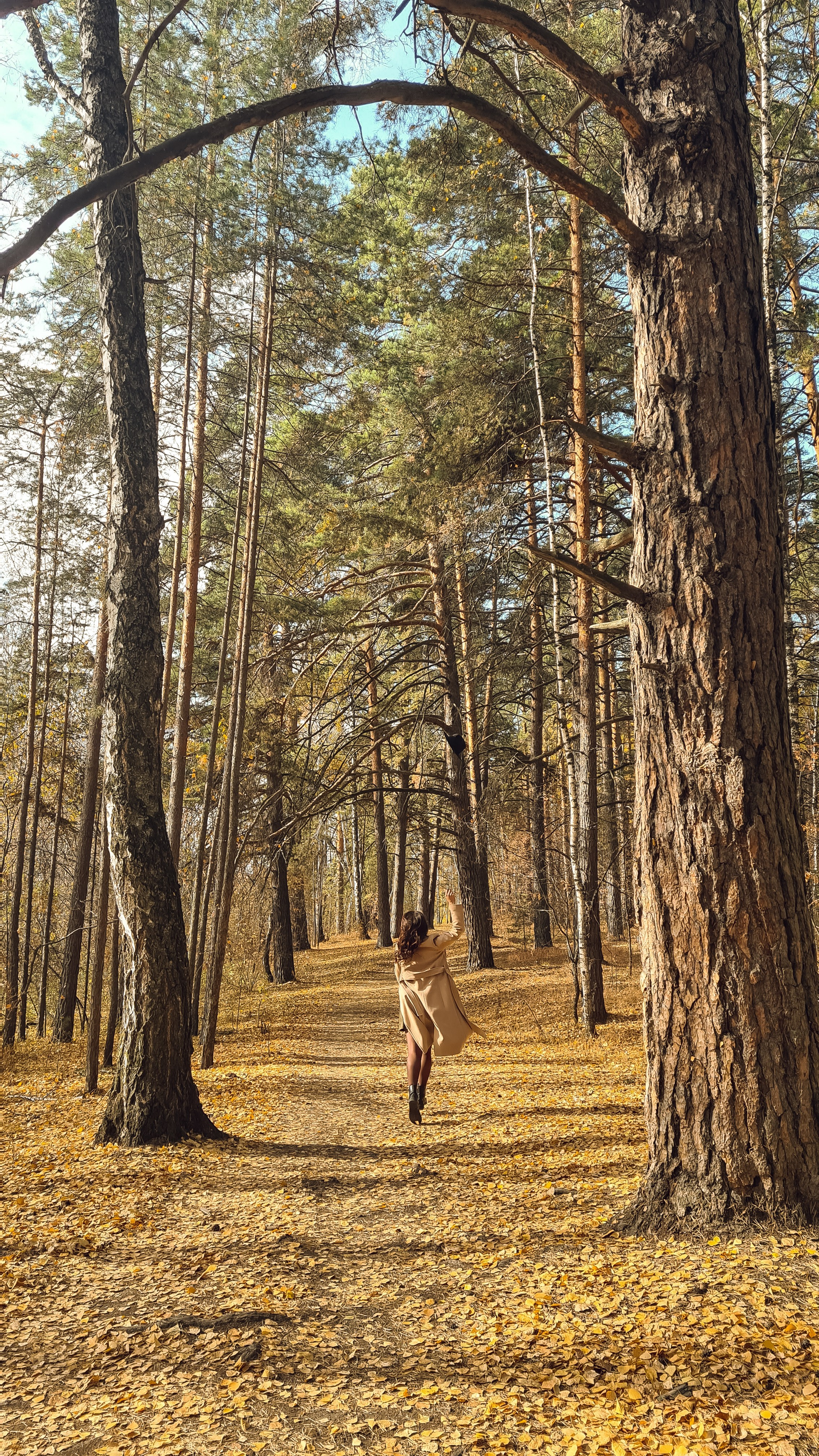 Осень. Портретный фотограф в Челябинске