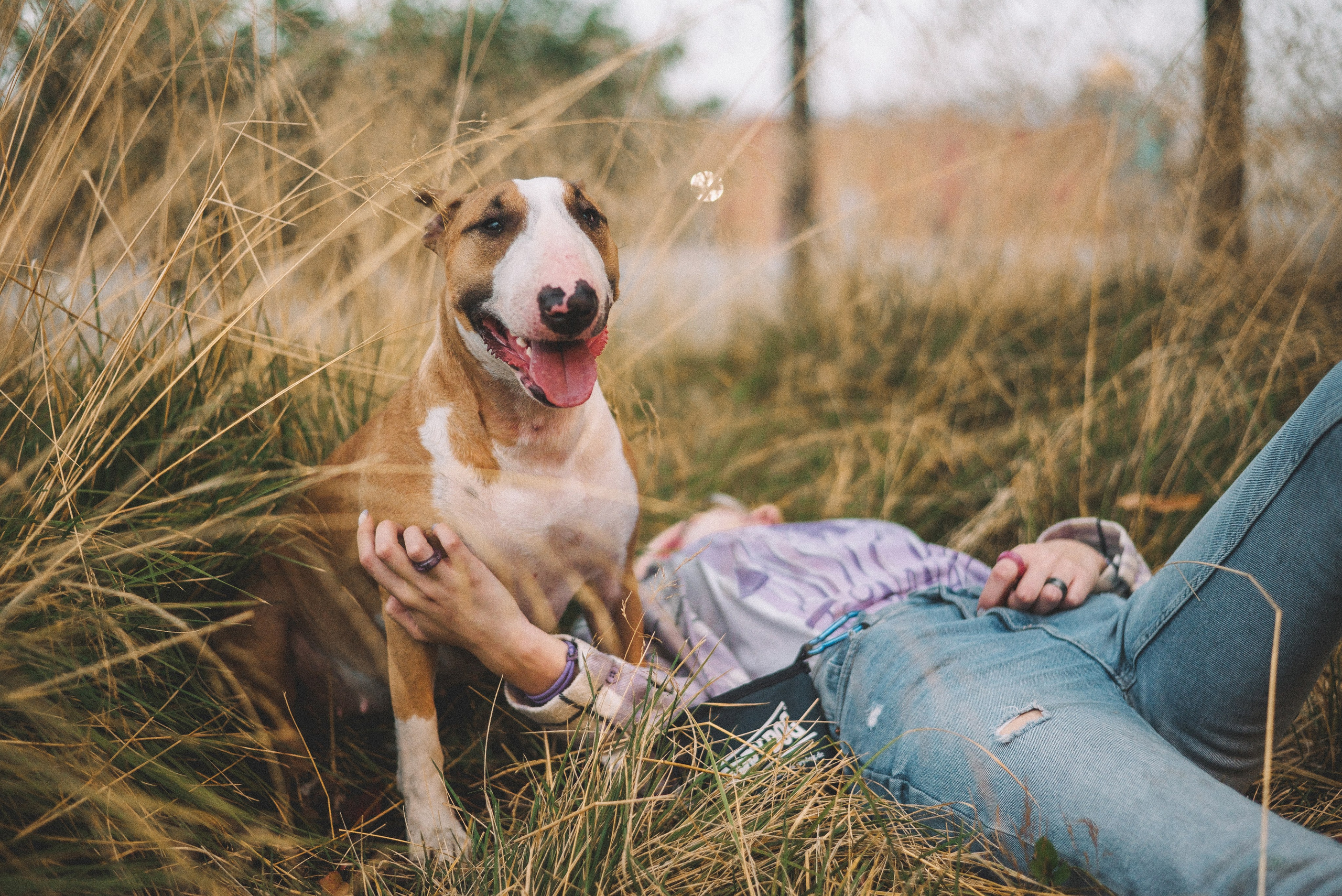 Маша и Рулька. Фотограф-анималист Богданова Полина