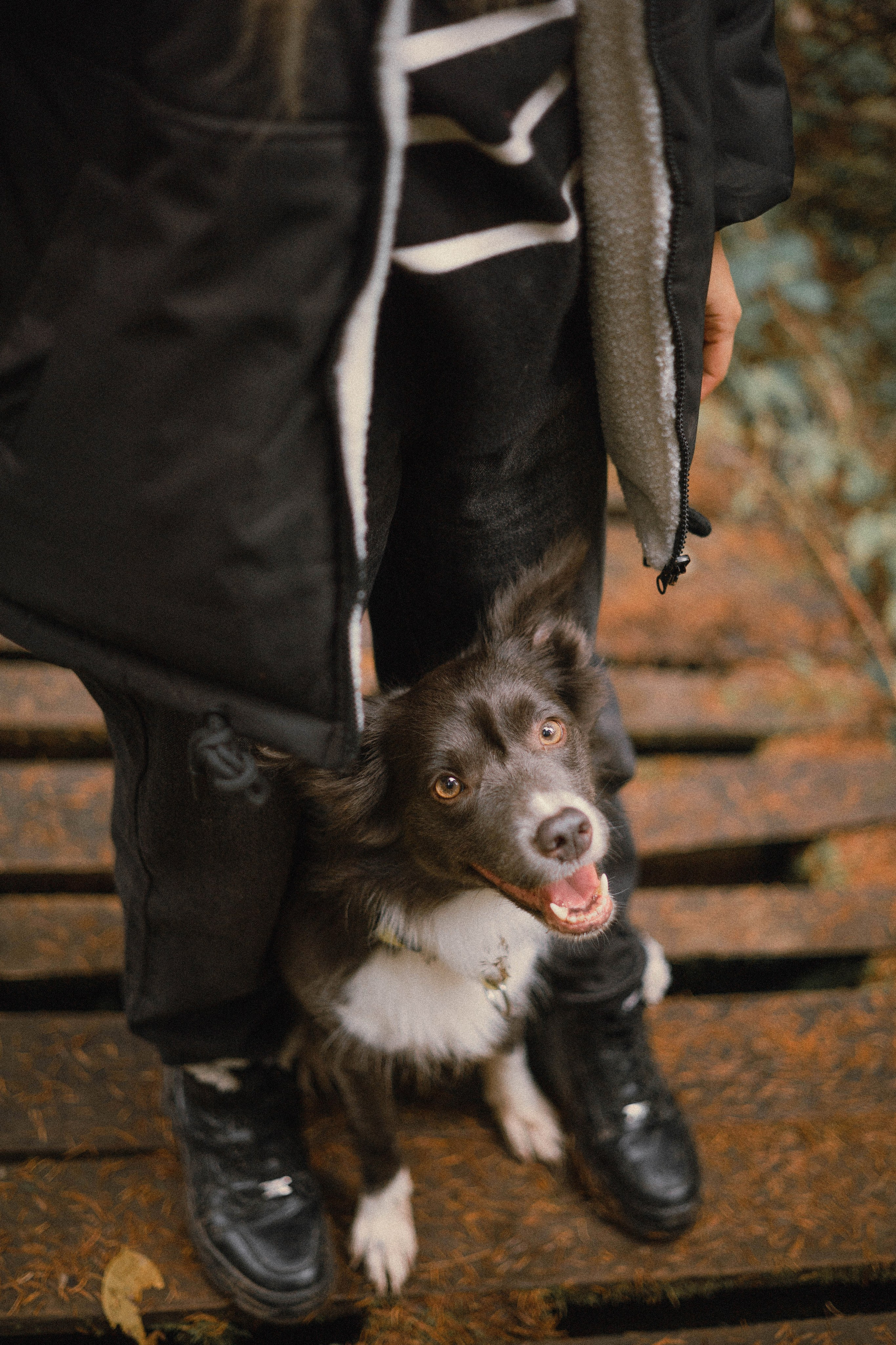 Даша и Дже. Фотограф-анималист Богданова Полина