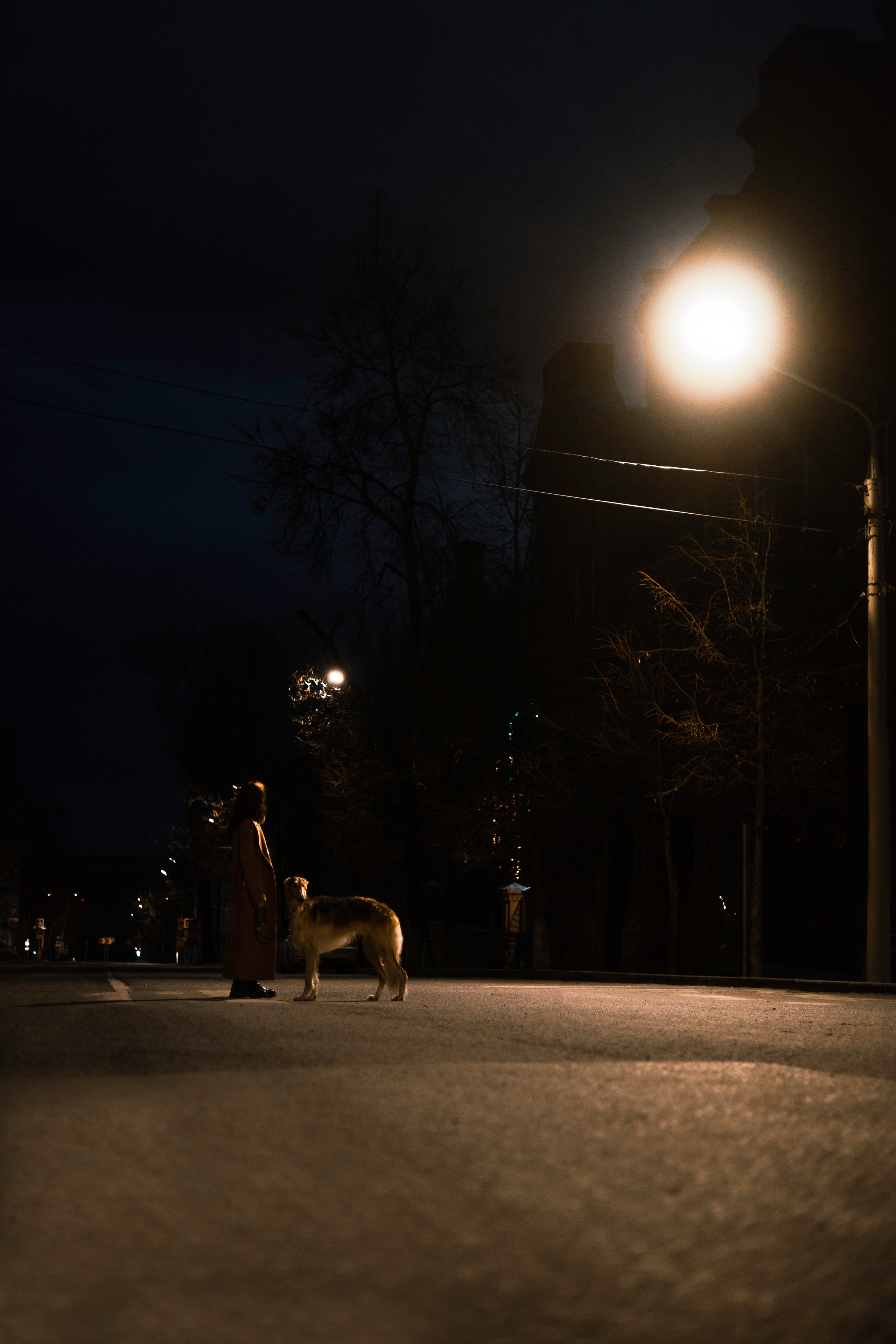 Алёна и Леви. Фотограф-анималист Богданова Полина