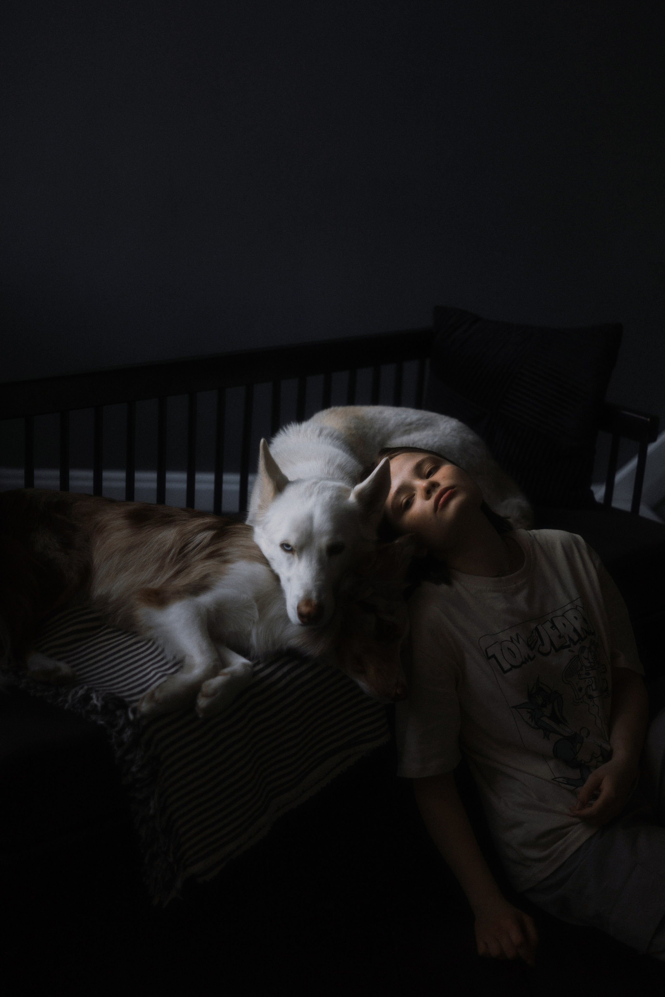 Аня, Дэймон и Грэй. Фотограф-анималист Богданова Полина