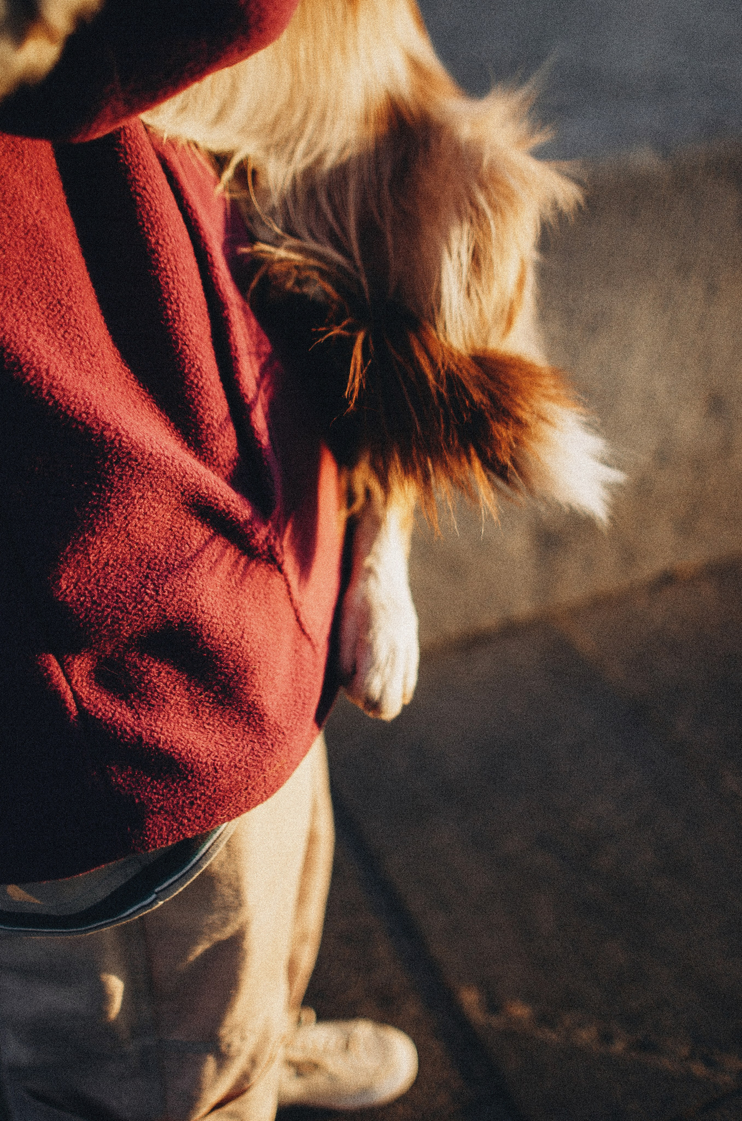 Аня и Дэймон. Фотограф-анималист Богданова Полина