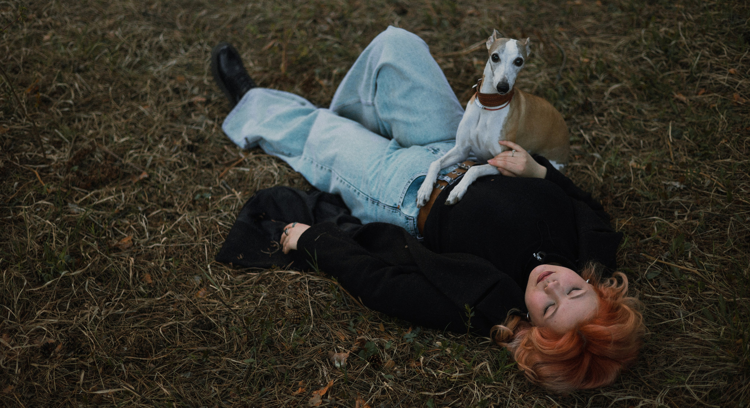 Вика, Джем и Белла. Фотограф-анималист Богданова Полина