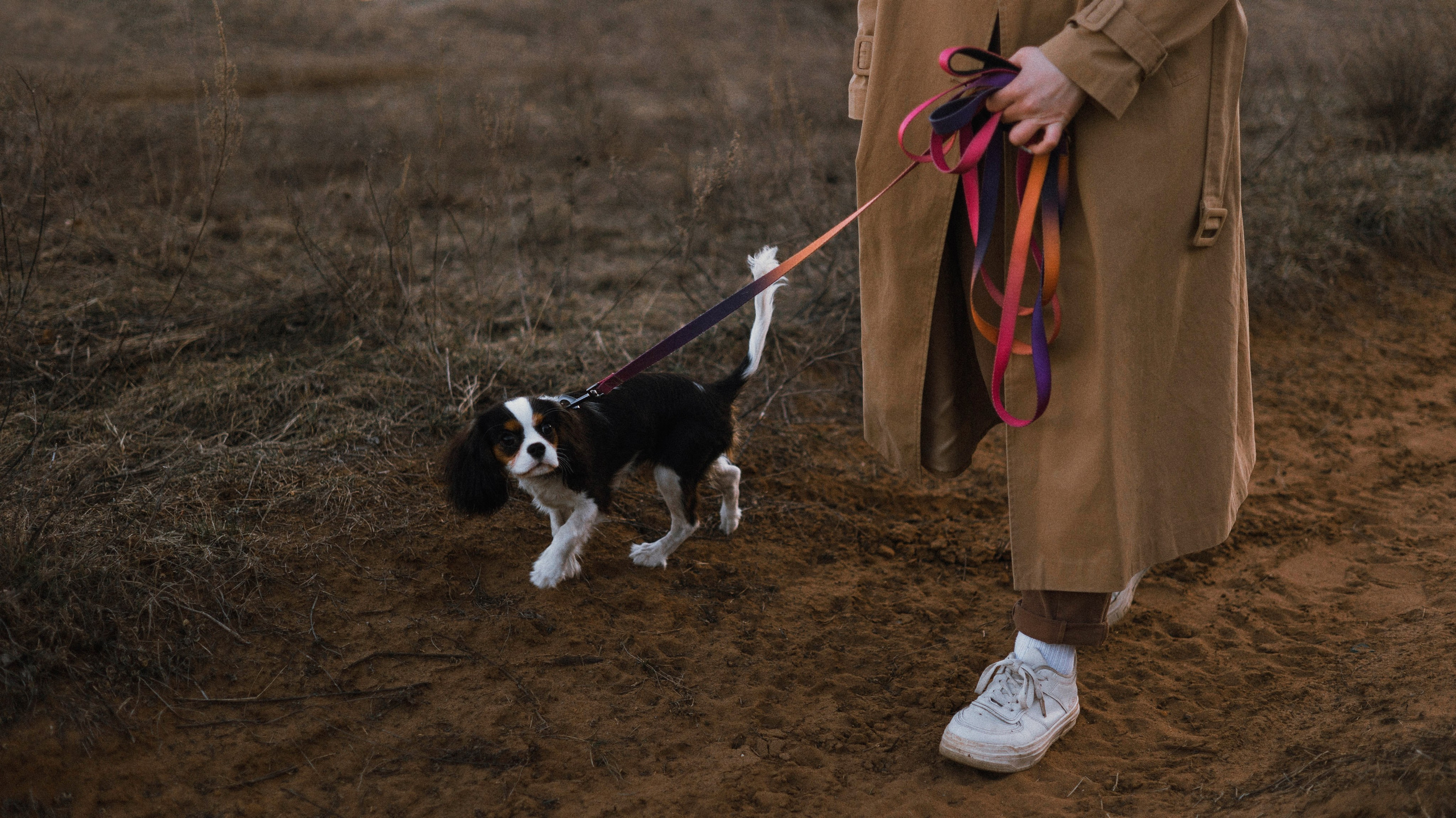 Ангелина и Йен. Фотограф-анималист Богданова Полина