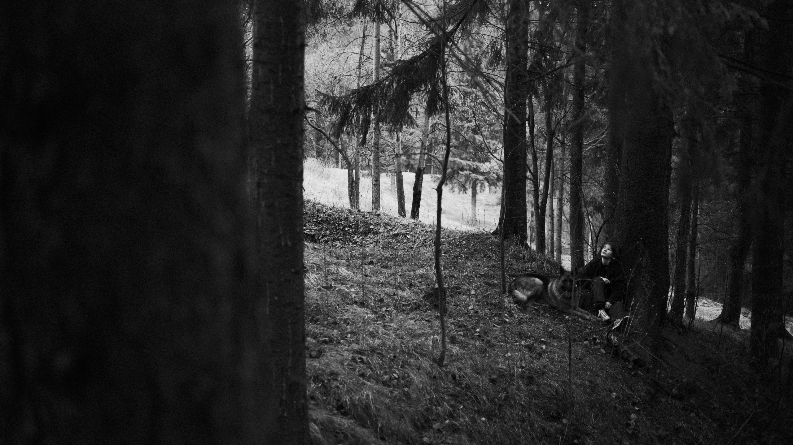 Лера и Ральф. Фотограф-анималист Богданова Полина