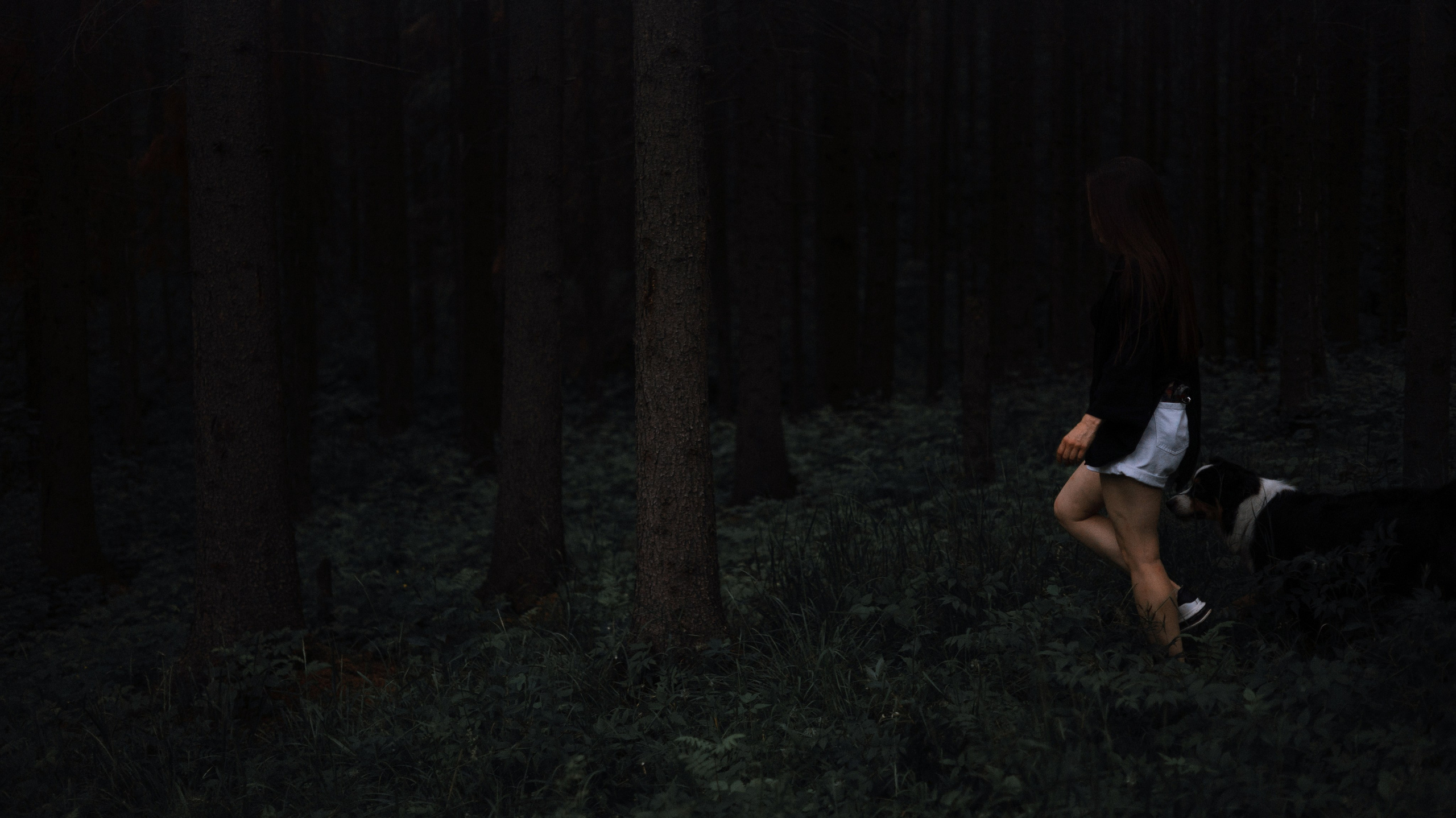 Яна и Уга. Фотограф-анималист Богданова Полина