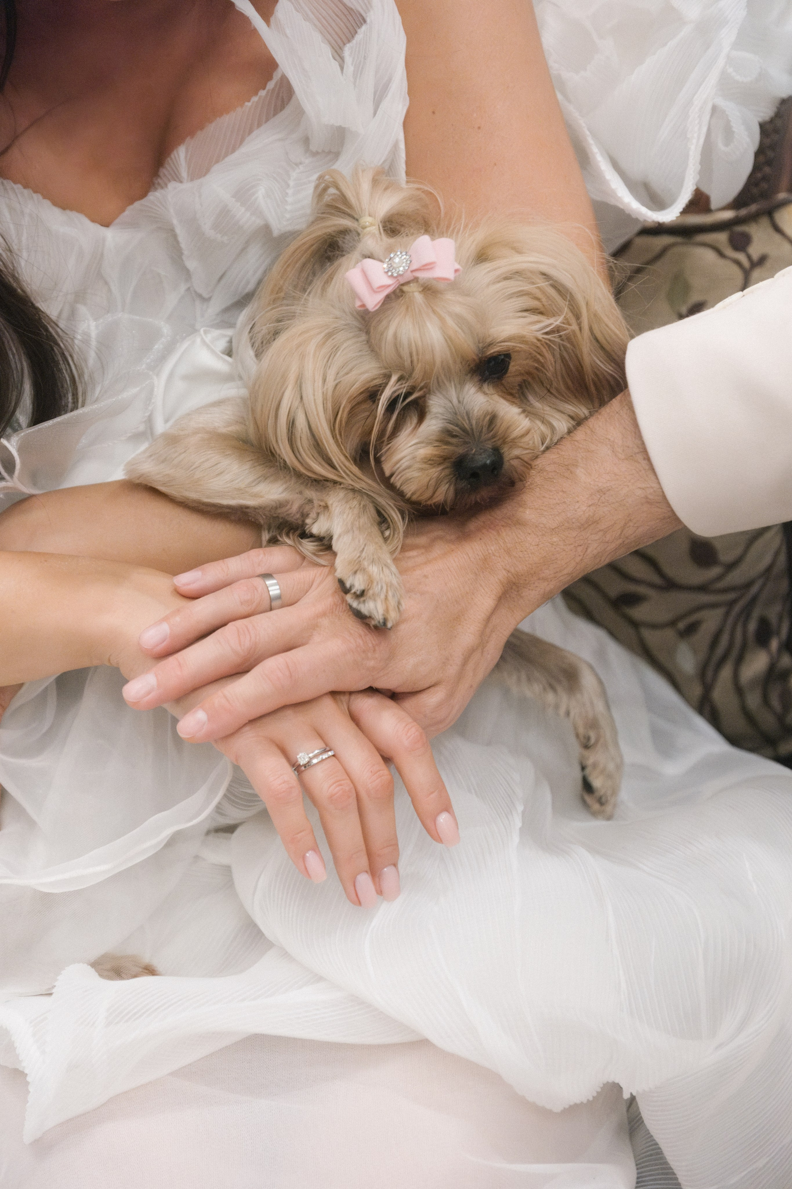 Аркея. Свадебный Видеограф Фотограф в Сочи