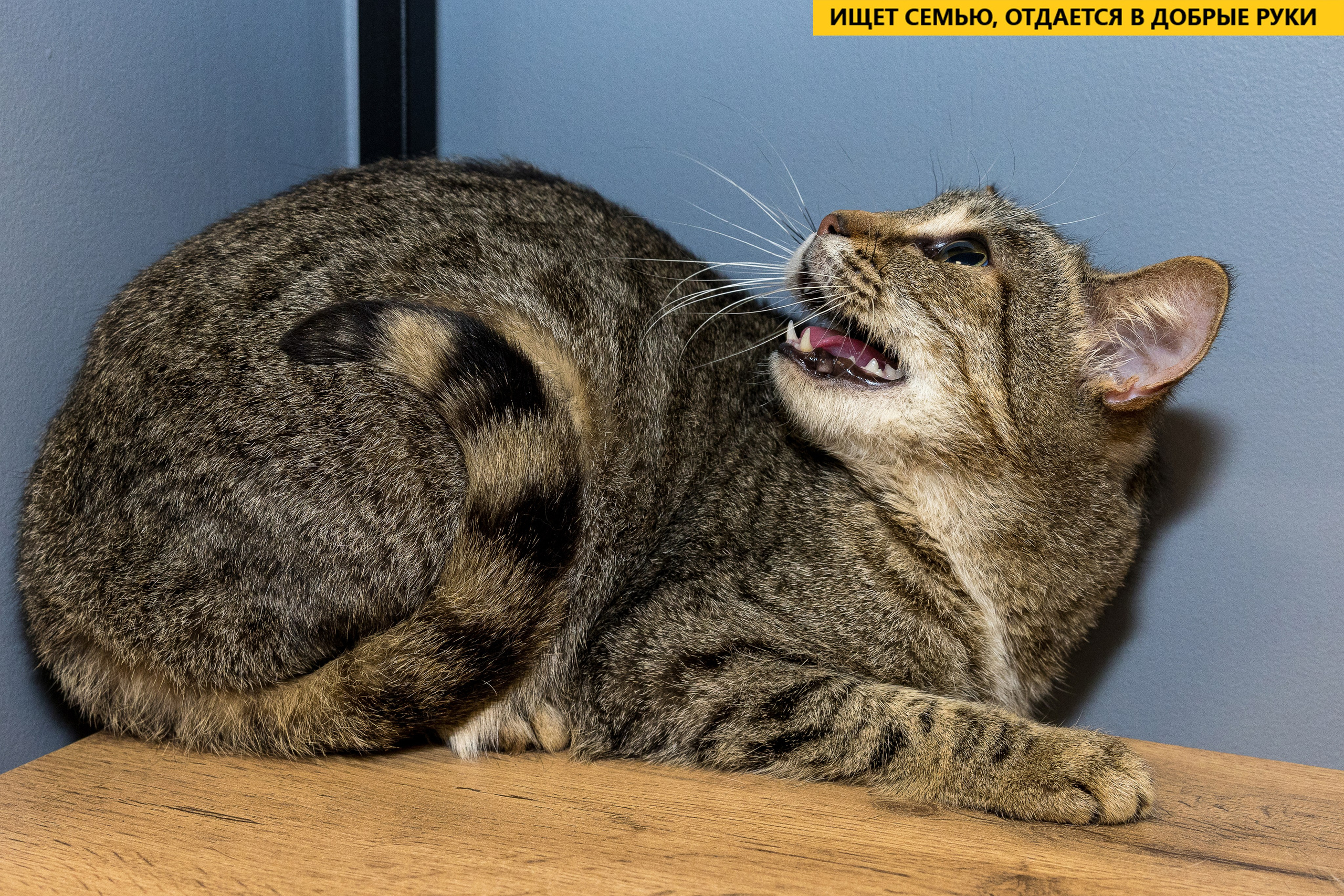 Рекламная съемка в Москве. Геннадий Степанов —фотограф в Москве