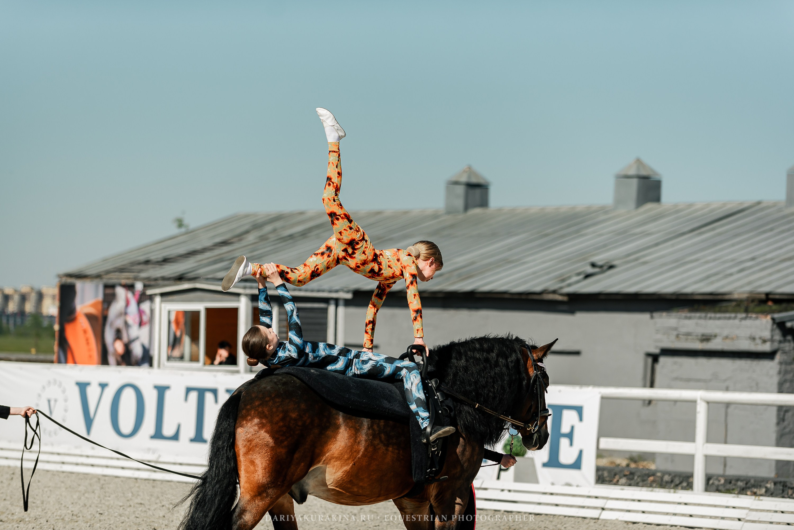 РЕПОРТАЖ МКК ВОЛЬТ «LA TULIPS». Конный фотограф Куракина Дарья • Фотосессии с лошадьми