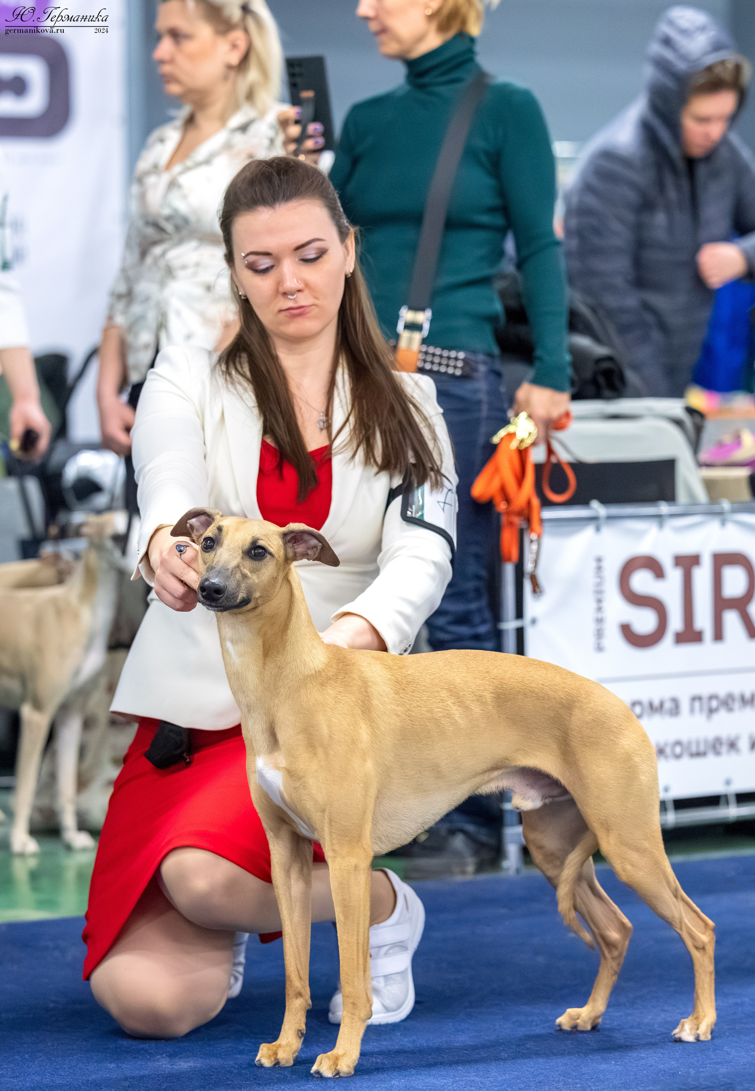 Сфера 17.03.2024. Фотограф-анималист Юлия Германика