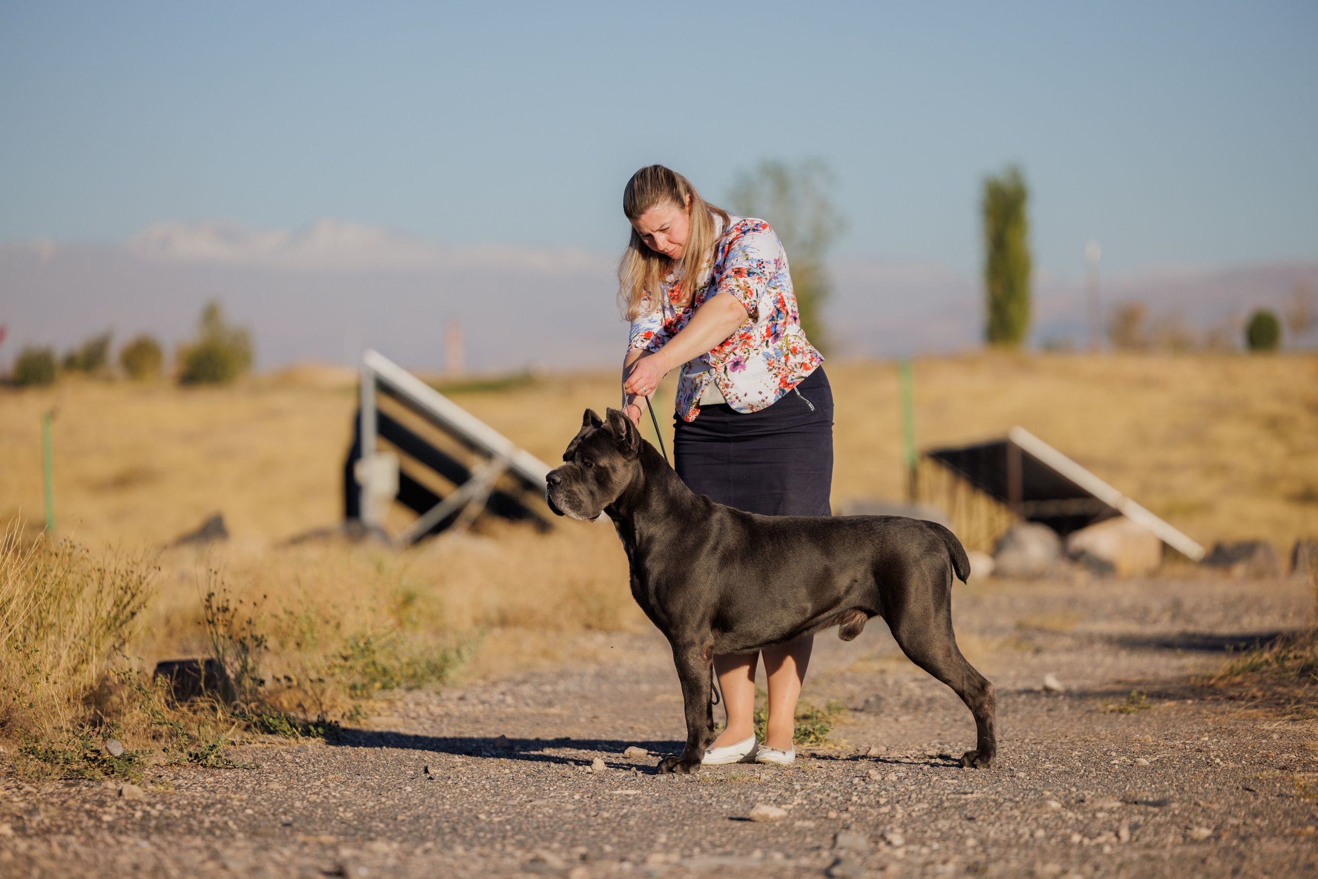 Ереван 14-16.10.2025. Фотограф-анималист Юлия Германика