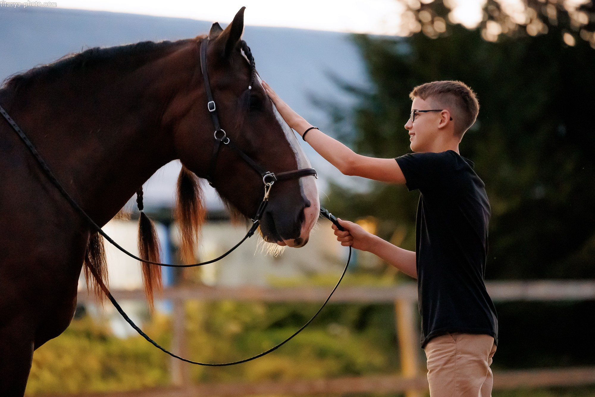 Закатная семейная фотосессия: про Настю и её дружную семью. Фотограф собак, фотограф-анималист Аня Титова (Titanya). Москва