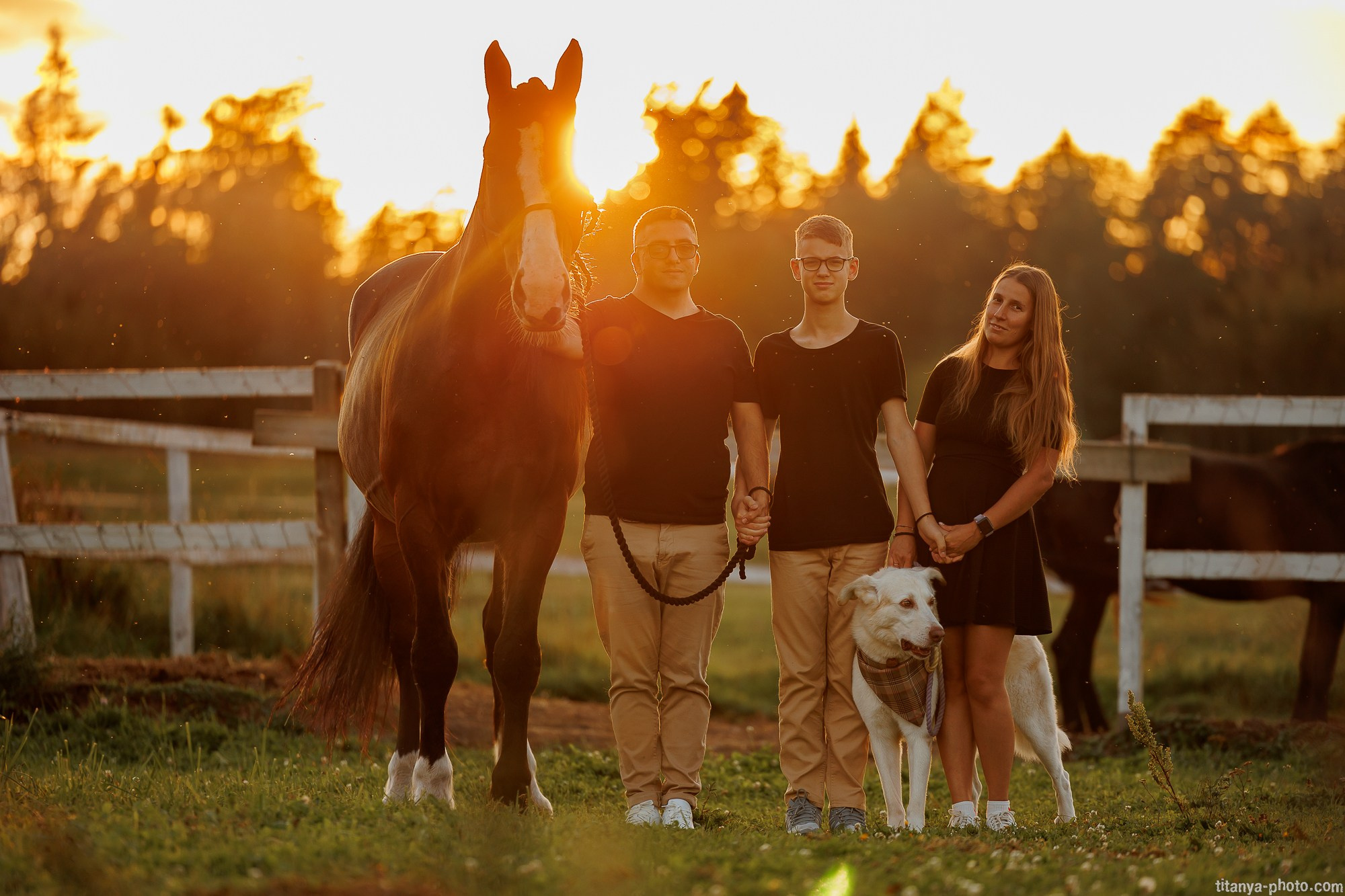 Закатная семейная фотосессия: про Настю и её дружную семью. Фотограф собак, фотограф-анималист Аня Титова (Titanya). Москва