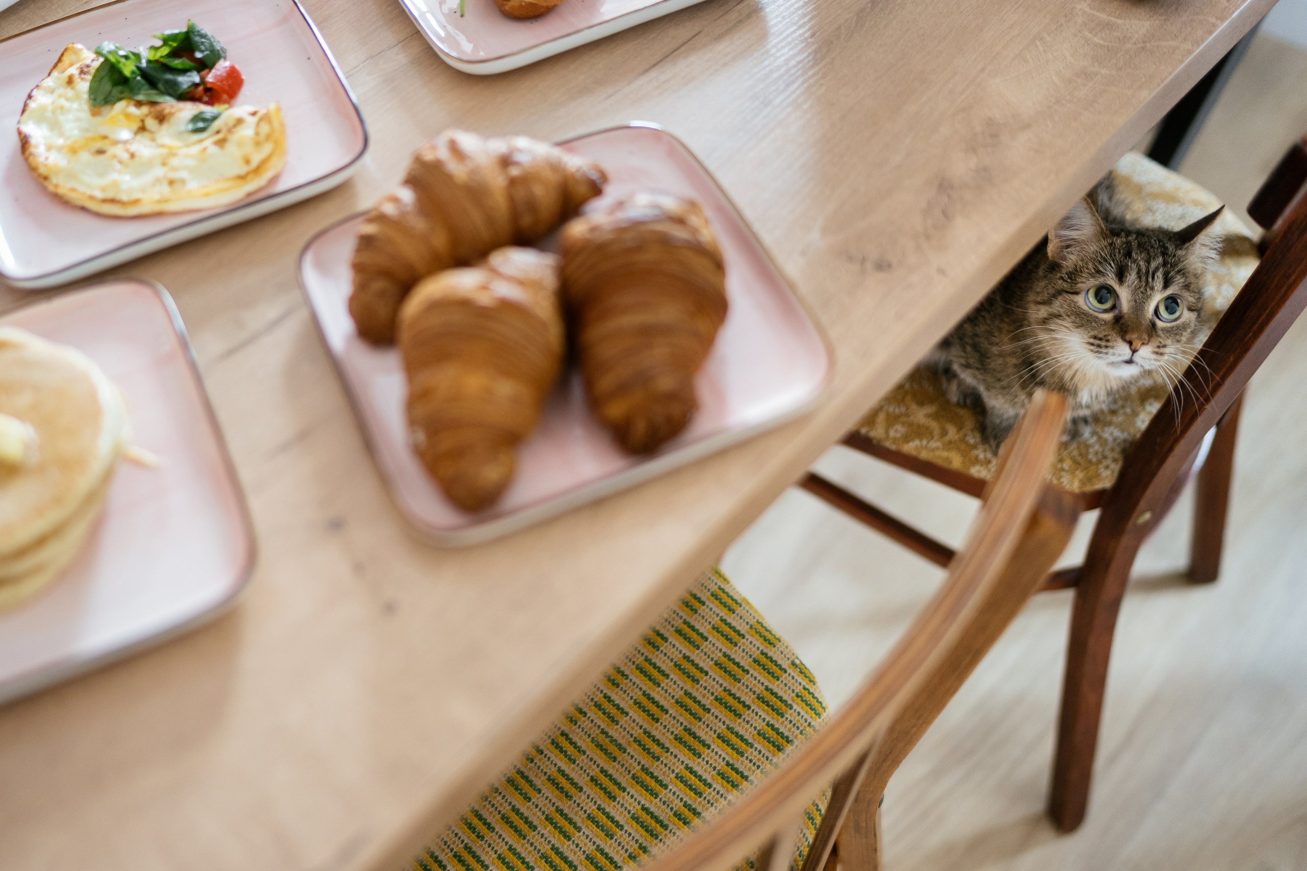 Витя и Аня. Фотограф Томск, Новосибирск Влад Свириденко