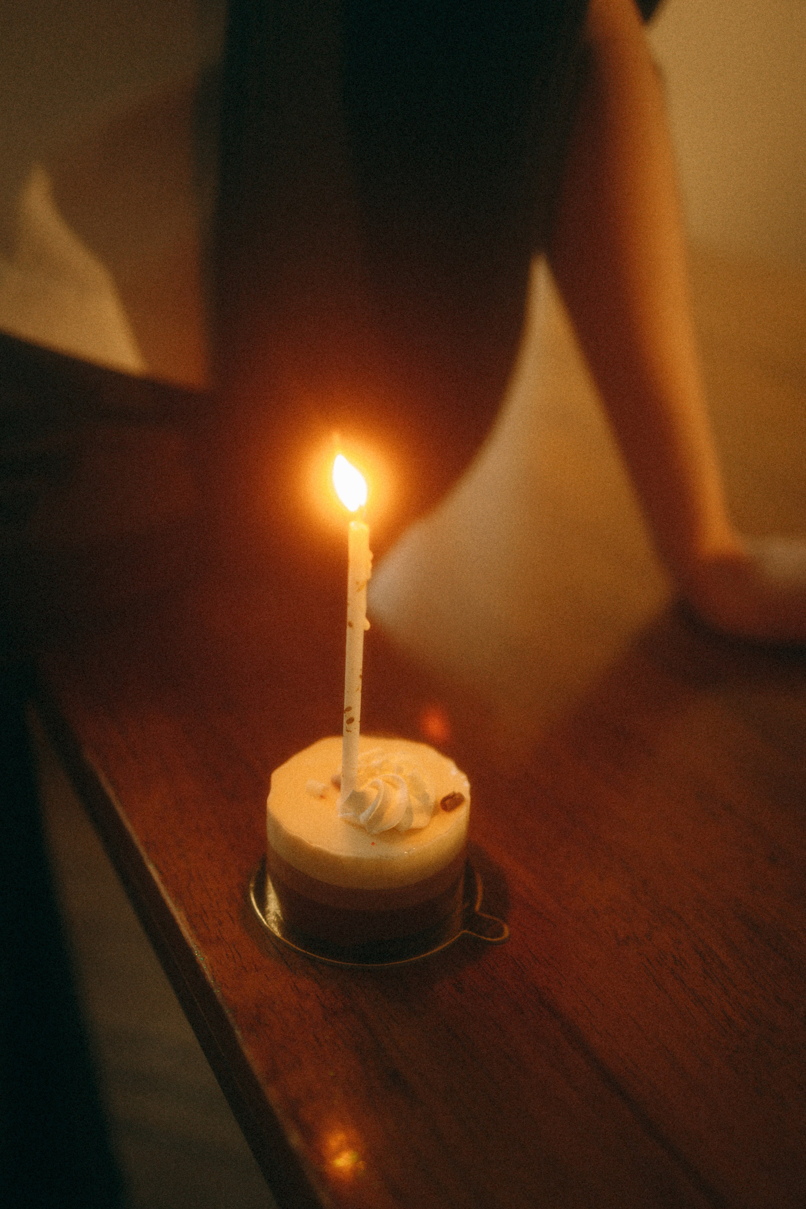 Ричард и Ксюша. Фотограф анималист Анастасия Пикей