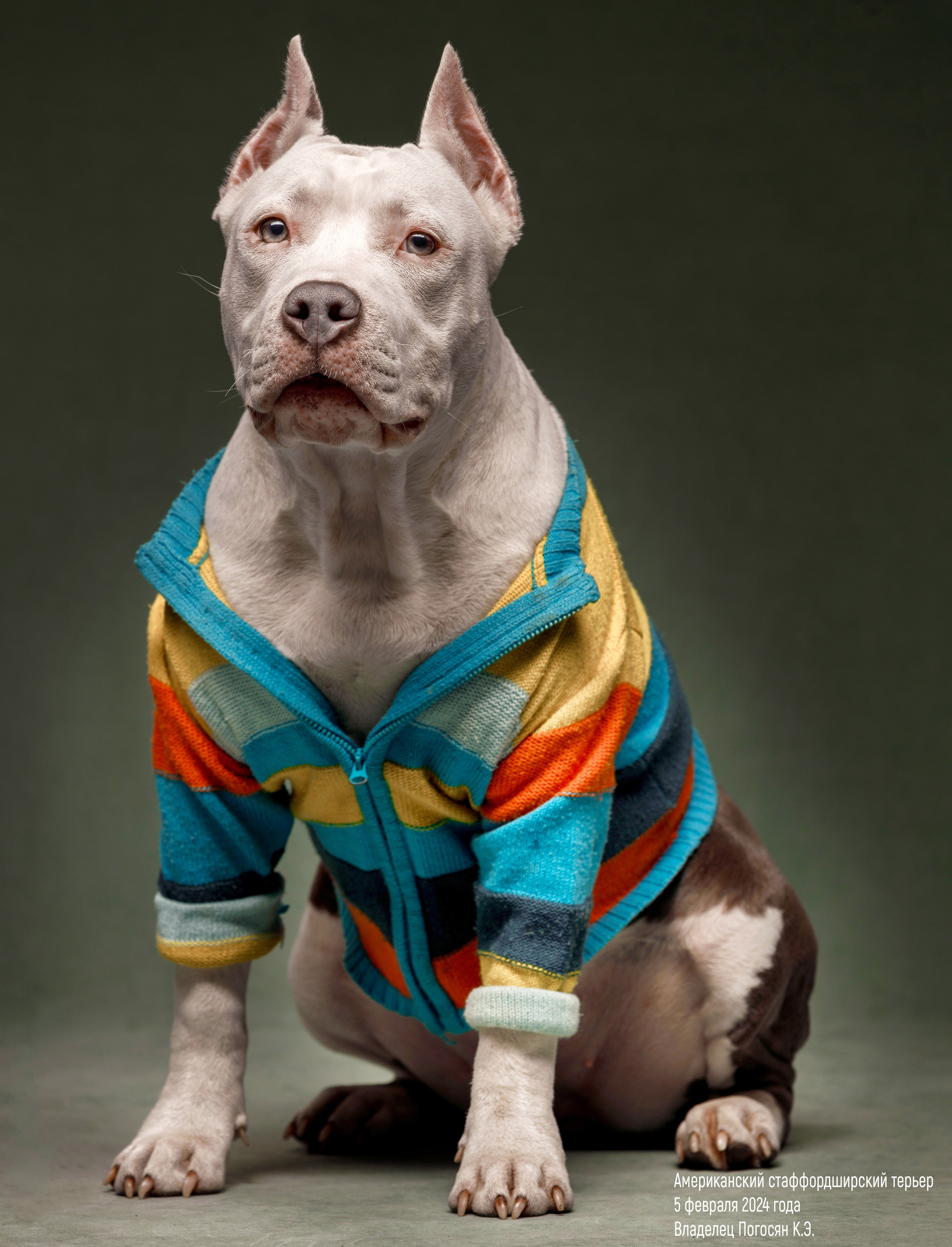 фотография Бориса  Долинина, фотосессия в абакане , фотостудия в Абакане, фотограф  в Абакане