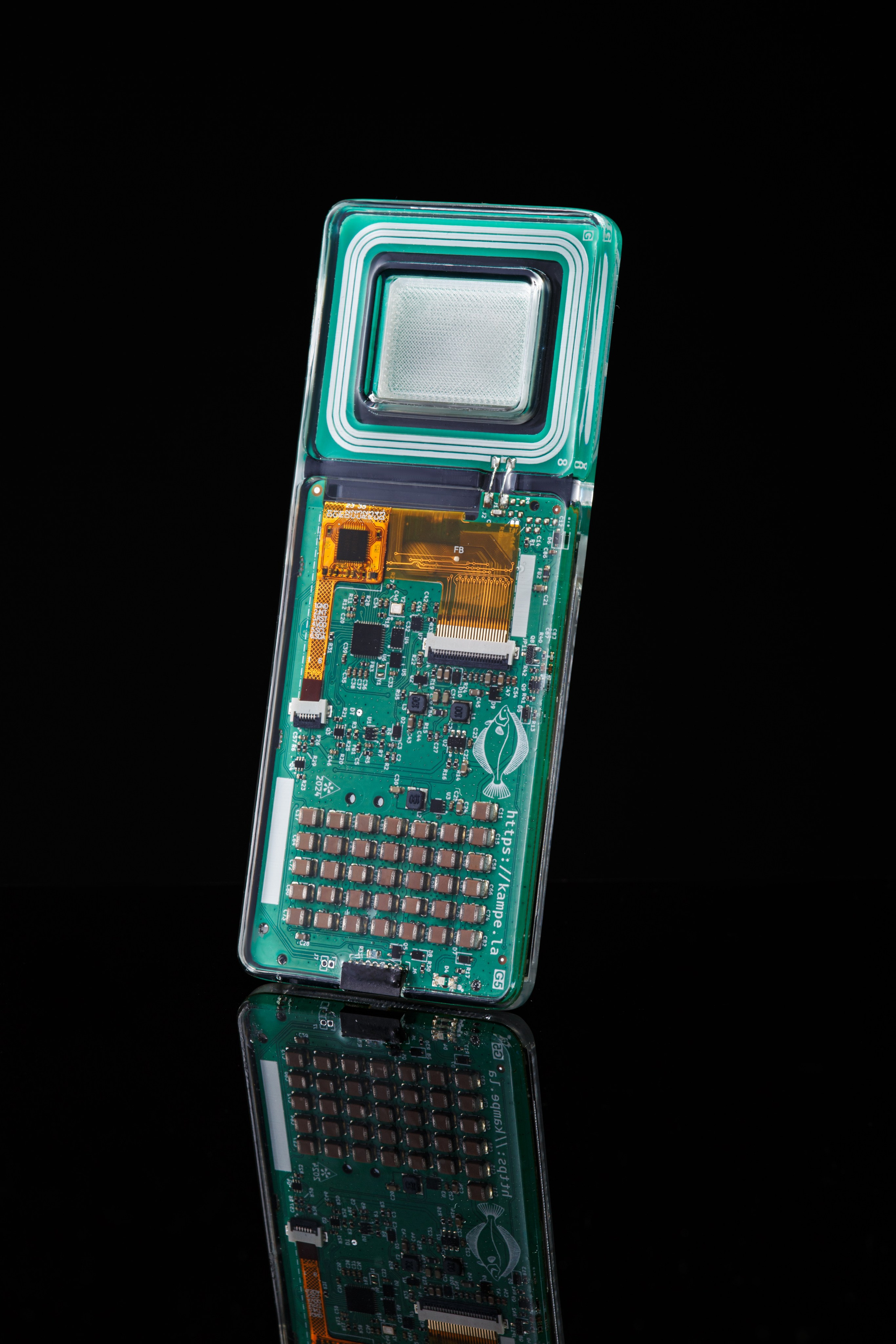 Kampela. Elena Yavorskaya Photography