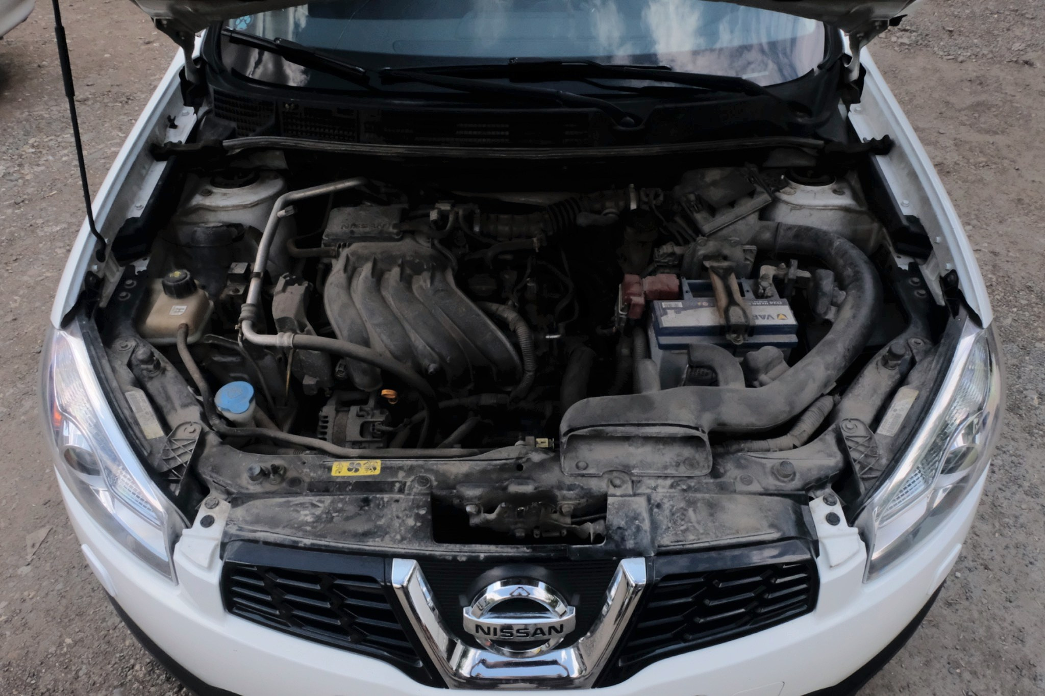 NISSAN Qashqai на продажу. Видео и фото для бизнеса, образования и недвижимости