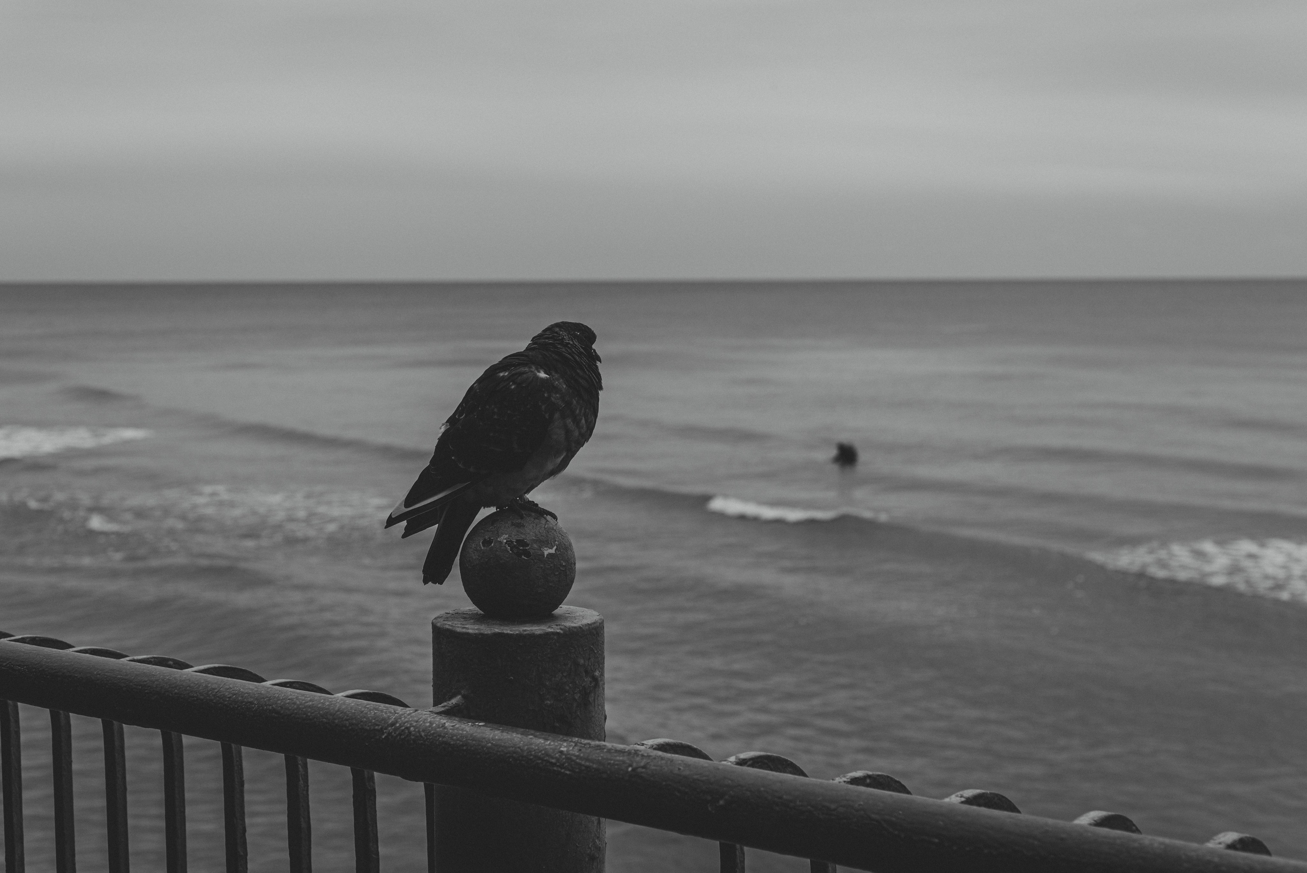 Калининград и его область: через объектив рекламного фотографа из Гуанчжо. Коммерческий и предметный фотограф в Гуанчжоу Коваленко Александр