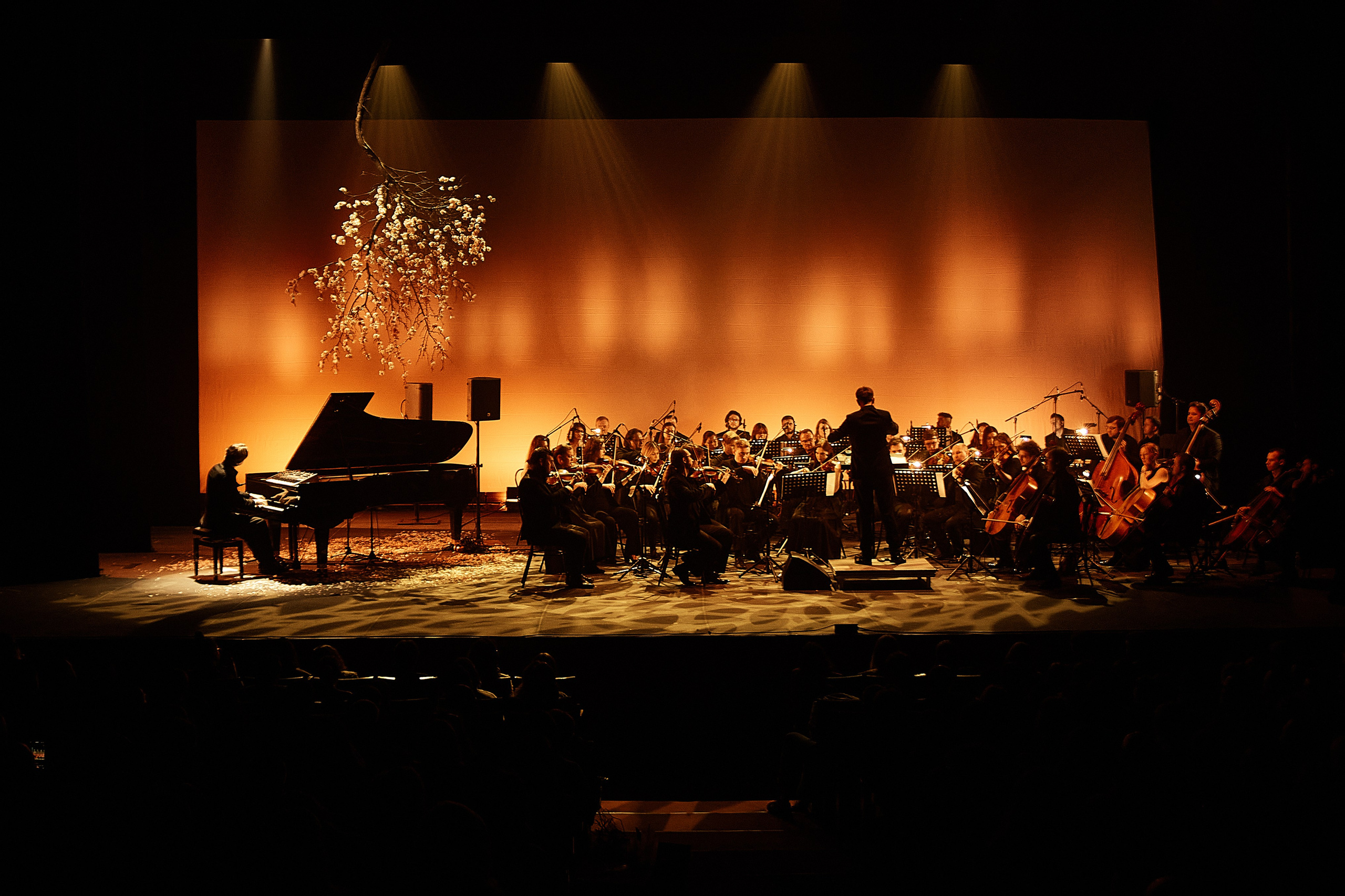 Никола Мельников / 2024. OOPS