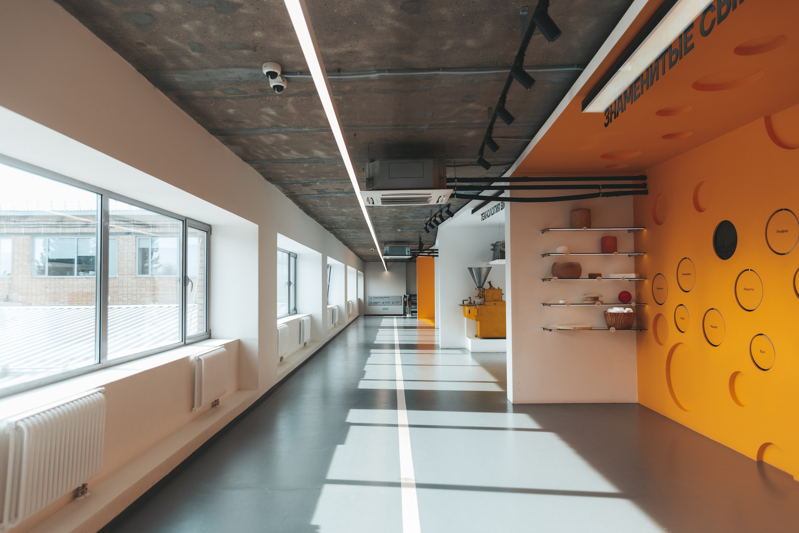 Музей-завод Сыр Культ Просвет. Фотограф в Ярославле Ольга Пыненкова