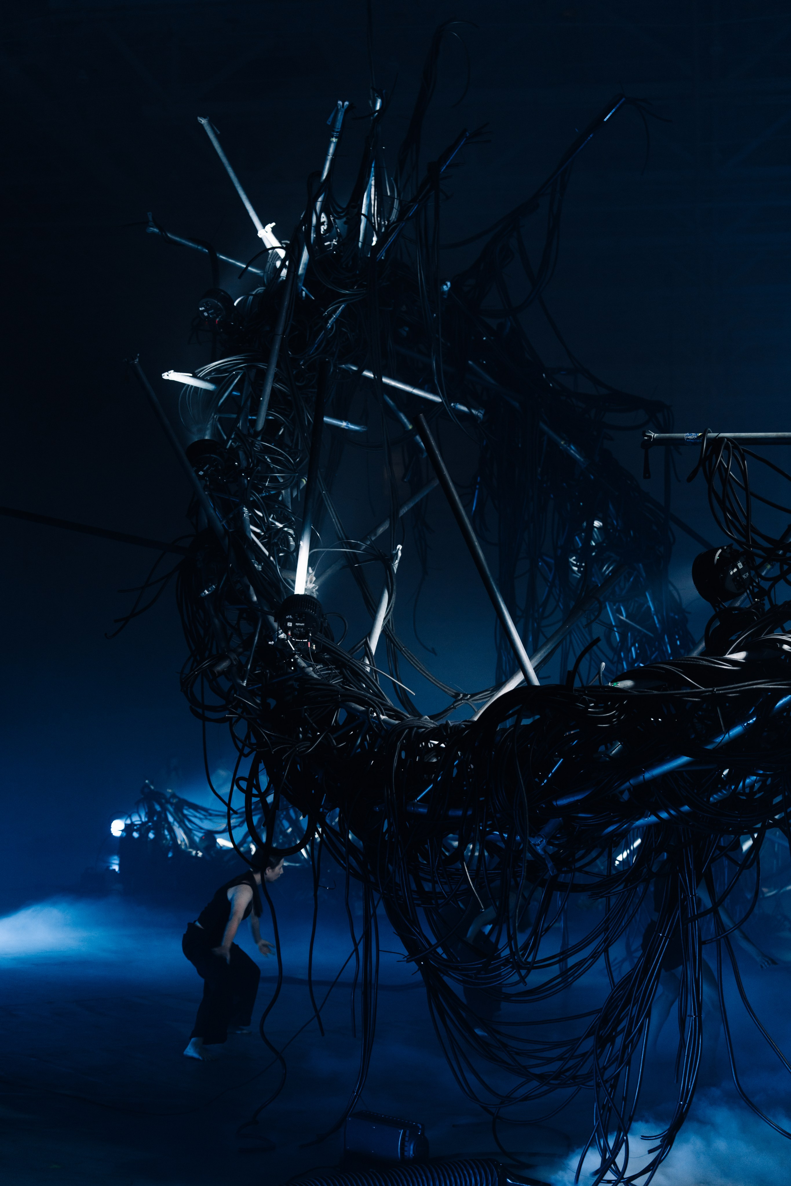 PERFORMA, The Hour of the Horse. @tomrus: Рустам Шагиморданов — фотограф