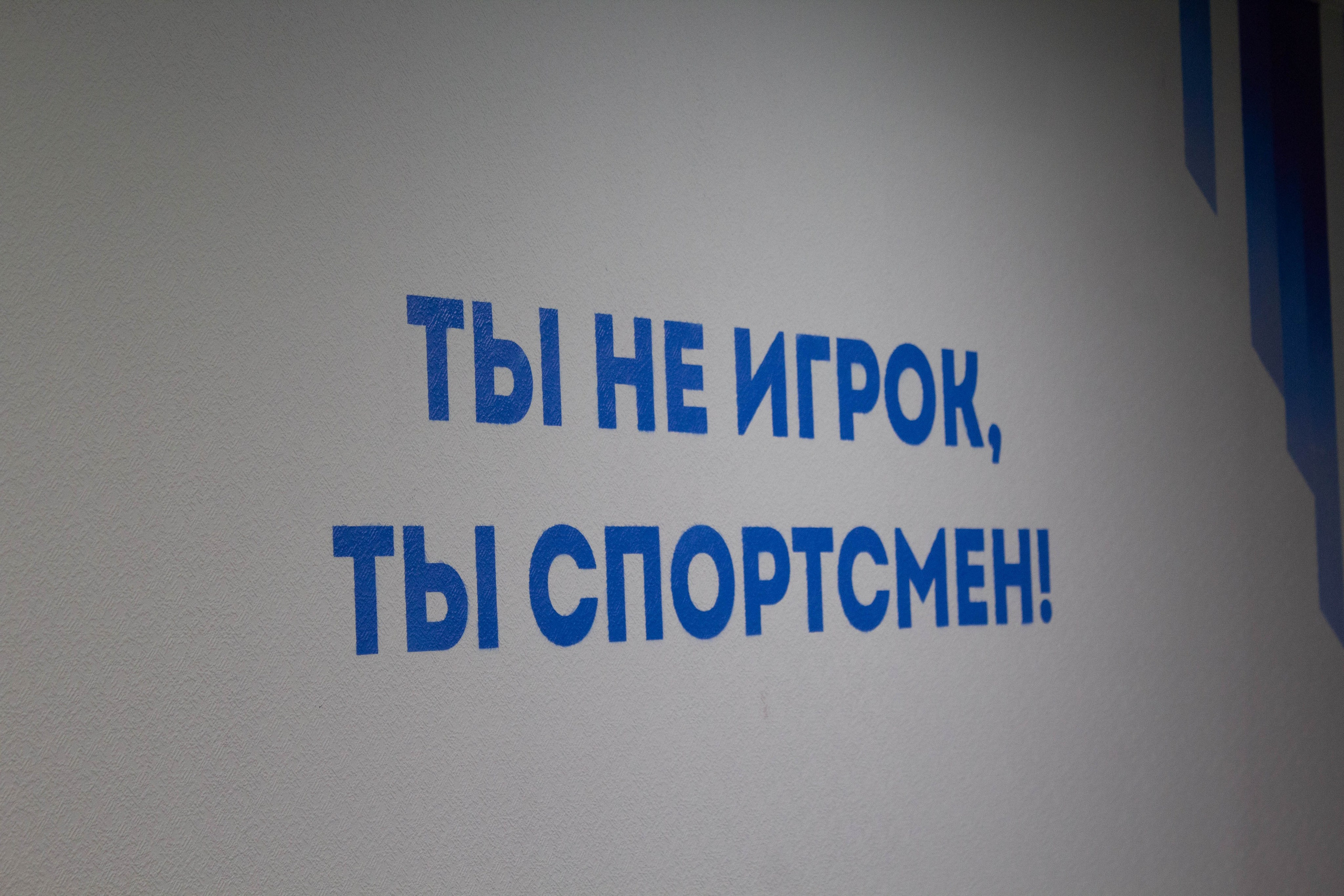 Polycup. Карпогоры, Санкт-Петербург