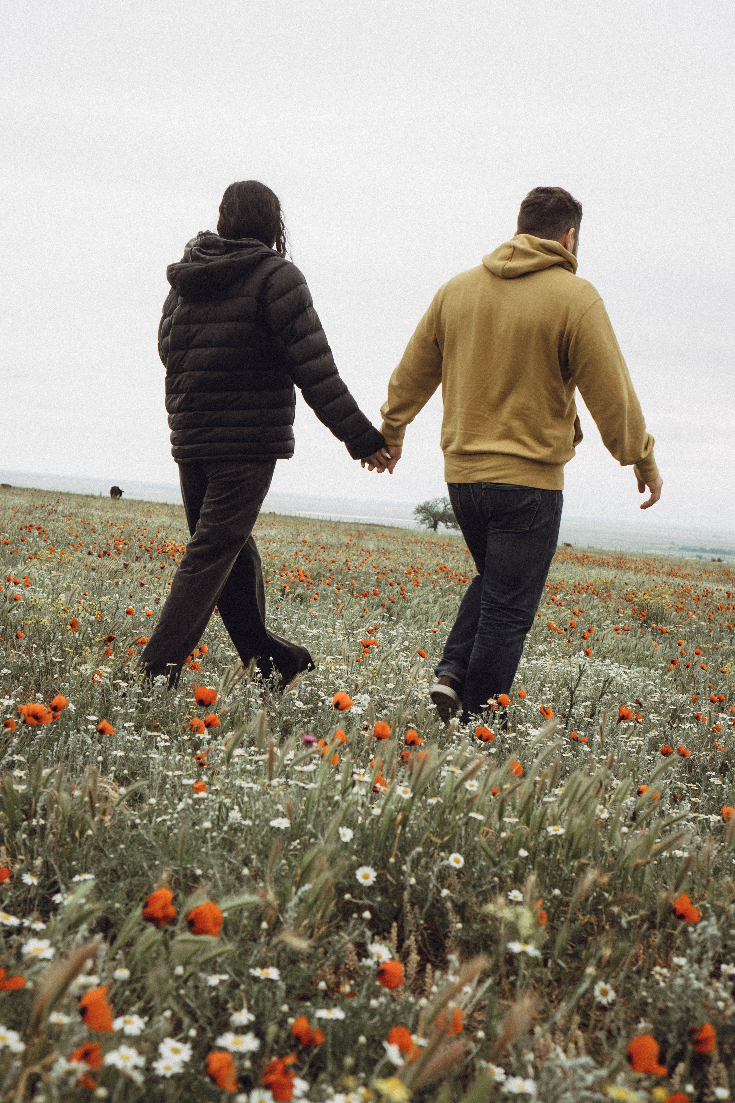 Любовь в маковом поле. Профессиональный фотограф, Санкт-Петербург — Виктория Богомолова