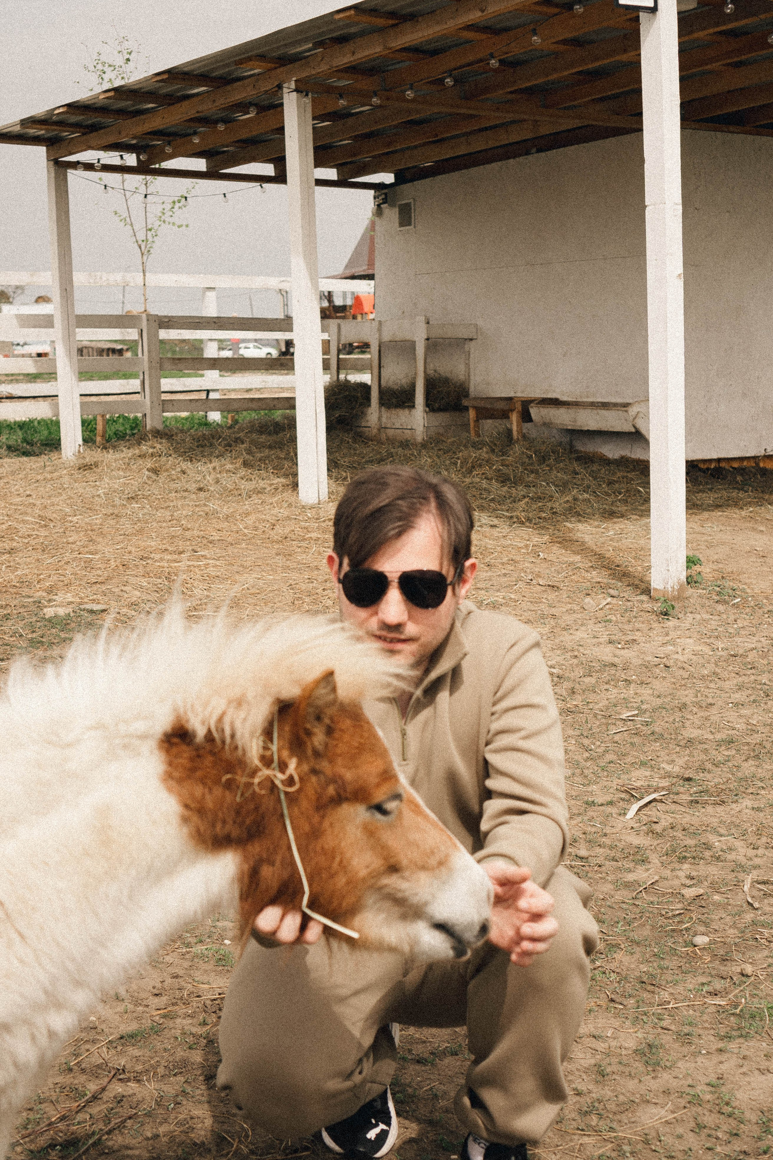 Ферма Альпак. Профессиональный фотограф, Санкт-Петербург — Виктория Богомолова