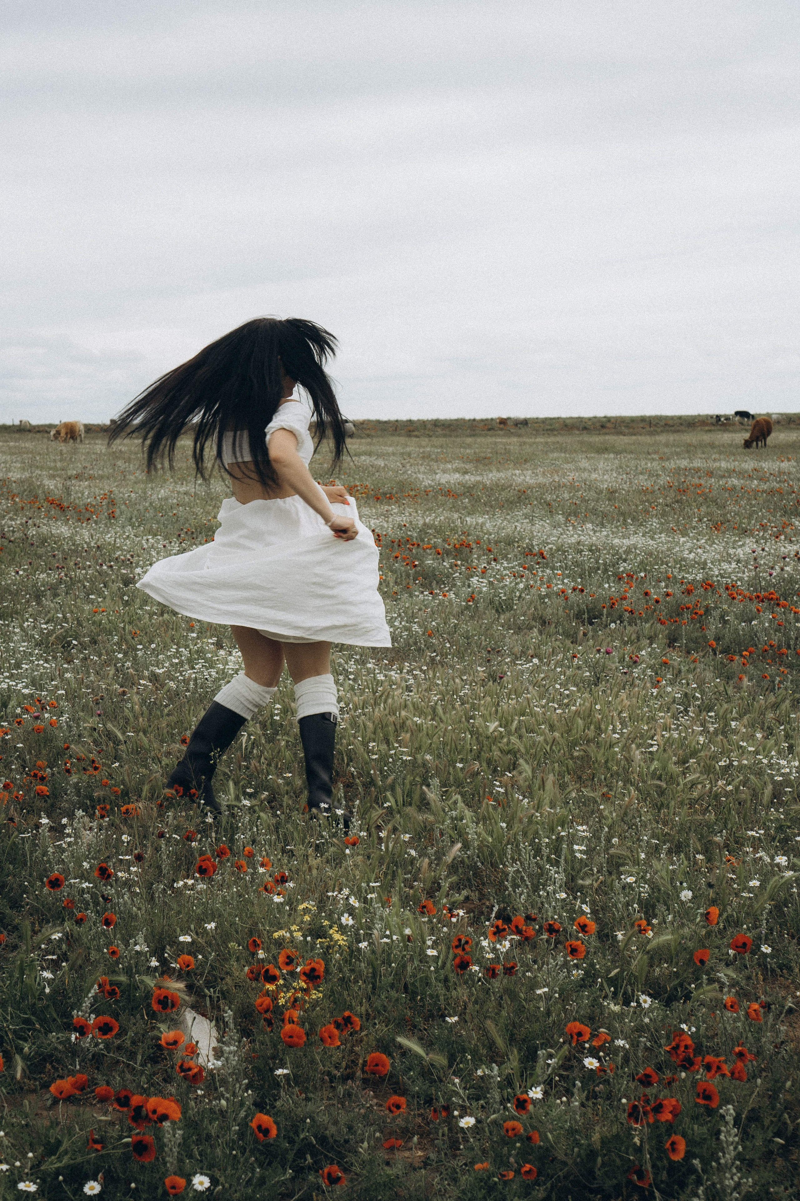 Маковое поле. Профессиональный фотограф, Санкт-Петербург — Виктория Богомолова