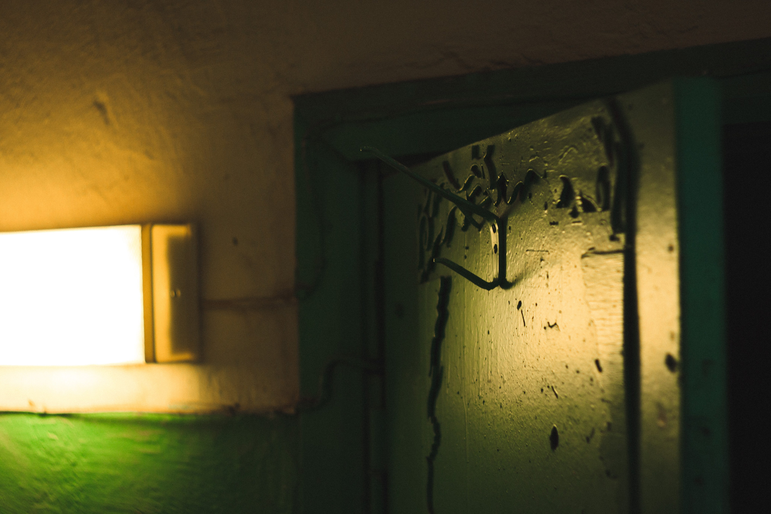 База. Den Mirov — Фотограф, Музыкант