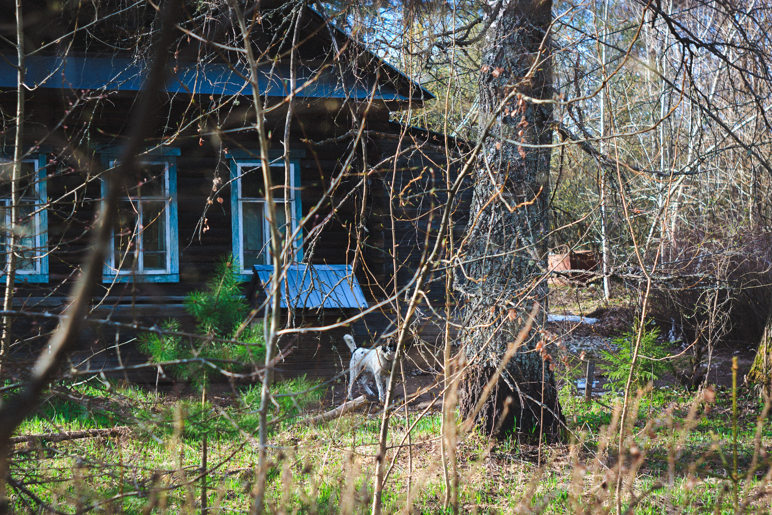 Деревня. Den Mirov — Photographer, Musician