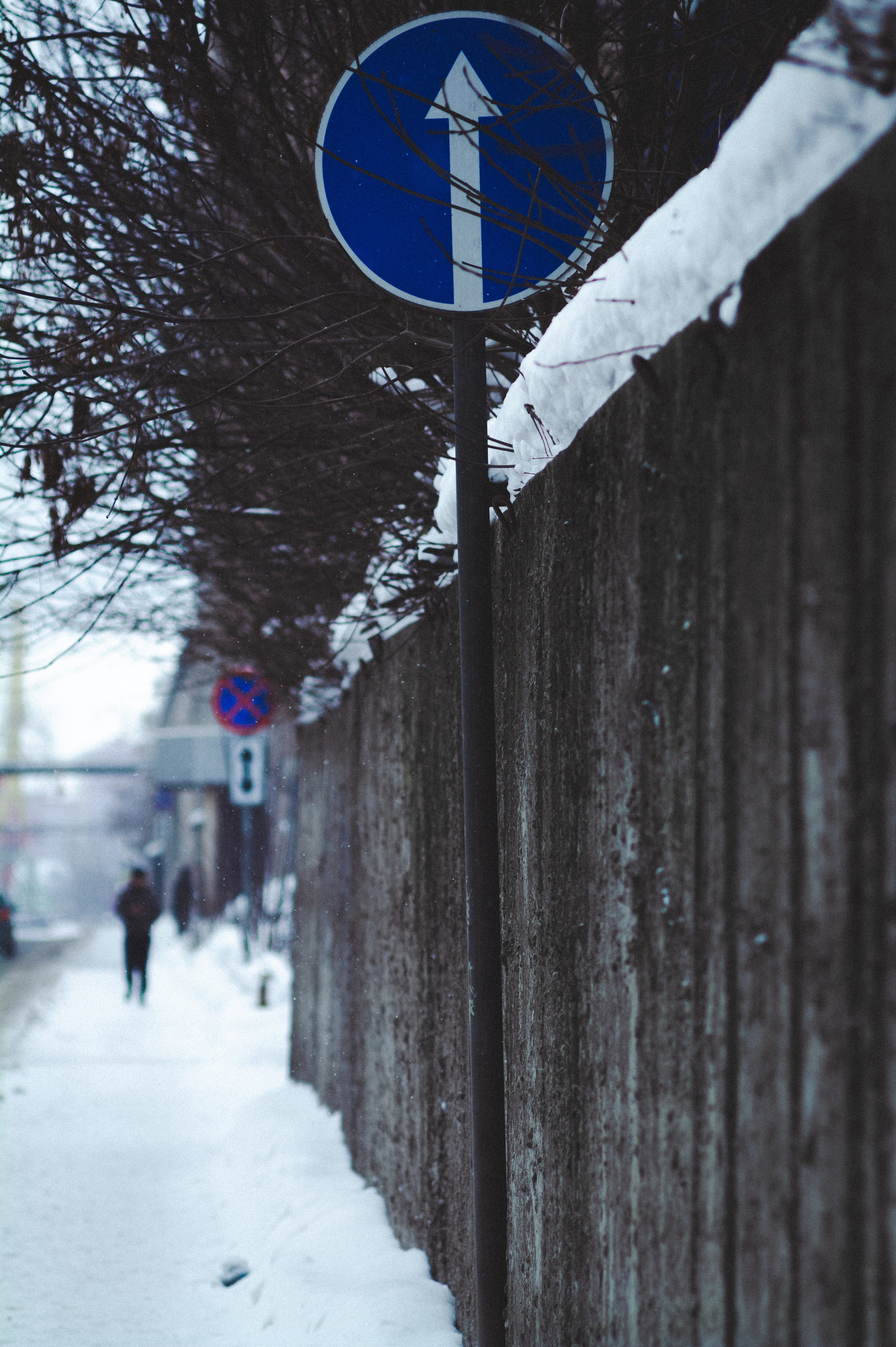 Судостроительный. Den Mirov — Фотограф, Музыкант