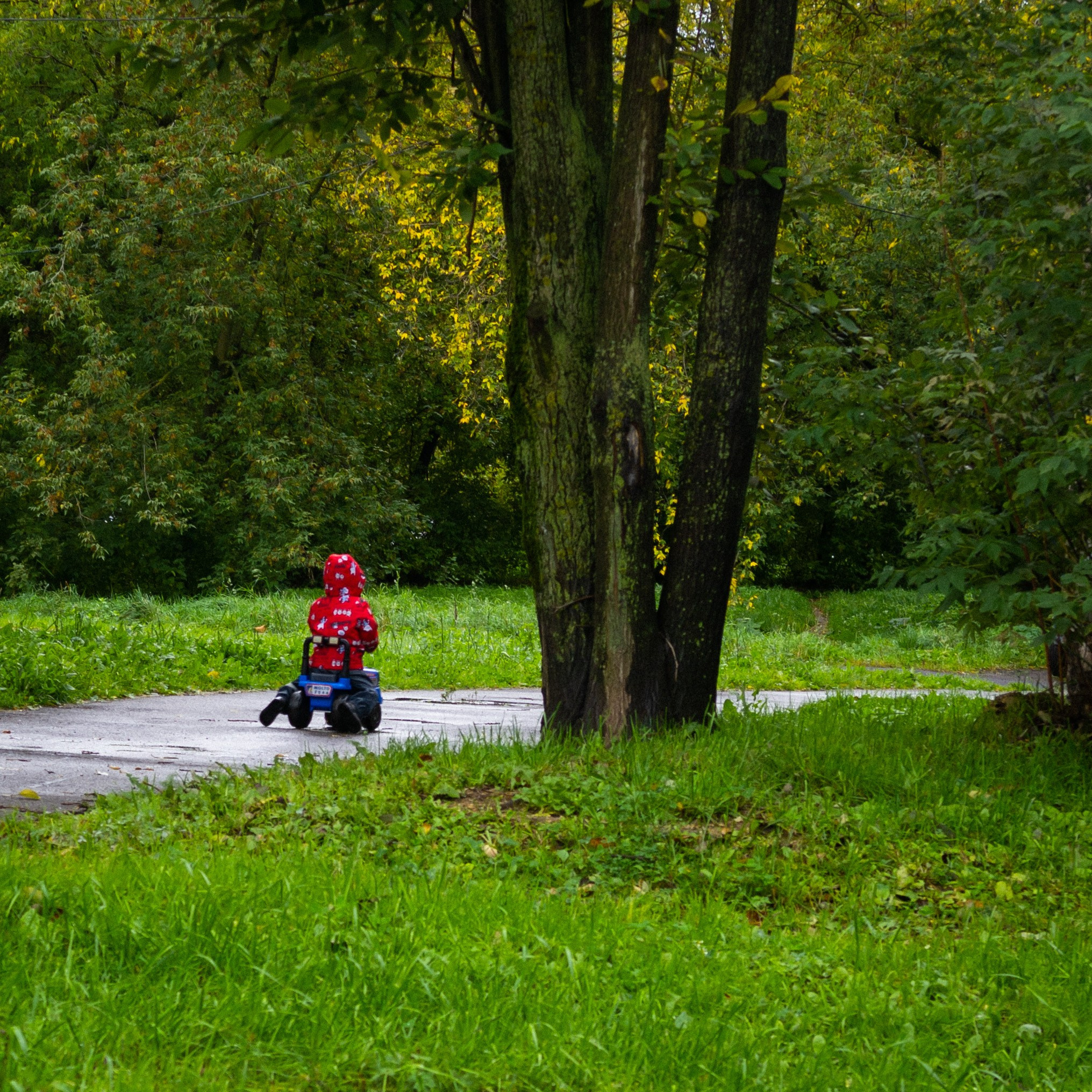Сентябрь 2025. Den Mirov — Фотограф, Музыкант